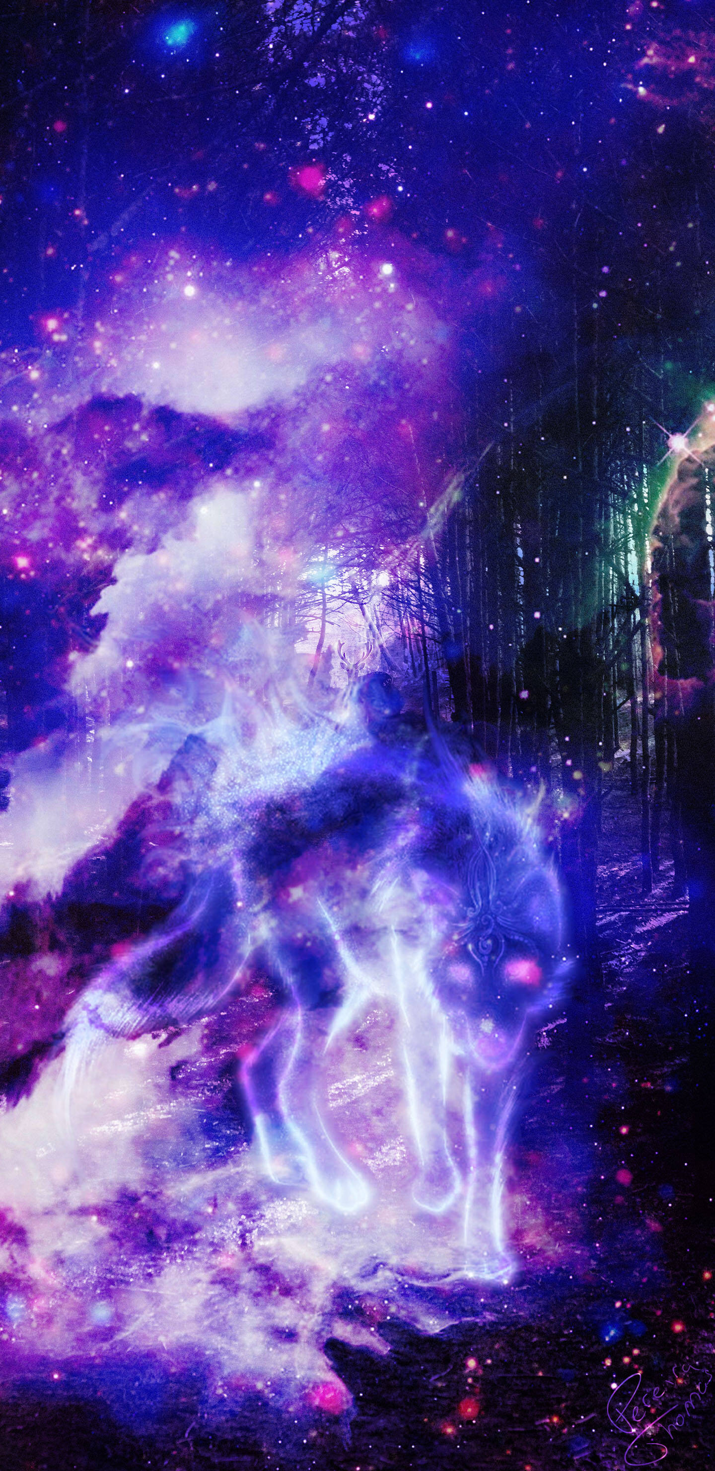 Mchoro wa Mbwa Mwitu wa Galaxy Msituni Picha ya Ukuta
