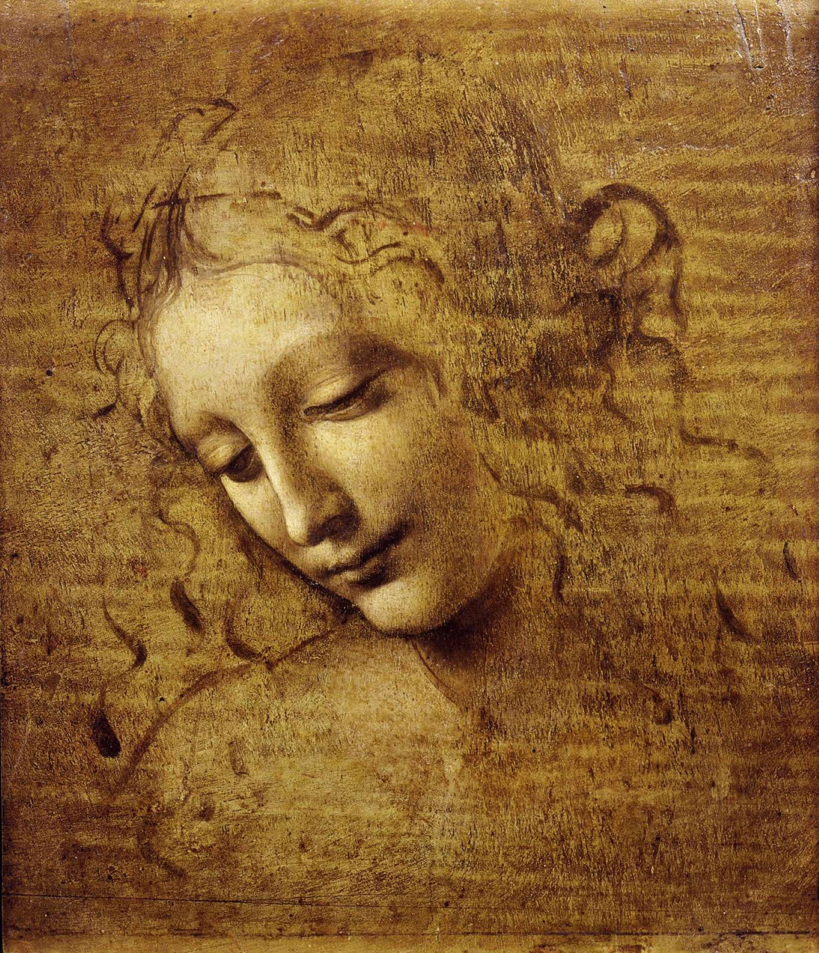 Mchoro wa Mkuu wa Mwanamke wa Leonardo Da Vinci Picha ya Ukuta