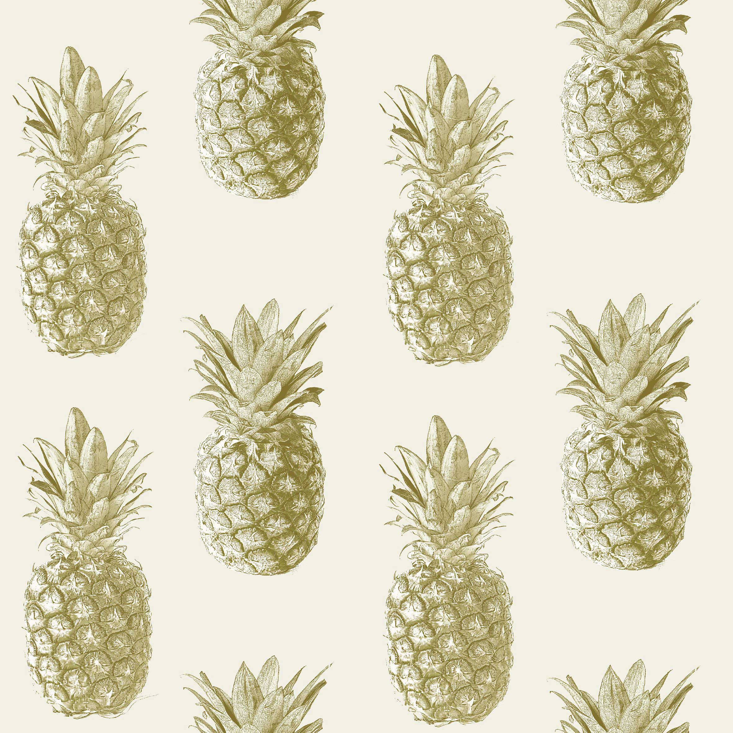 Sweet pineapple pattern painting. Picha ya Ukuta