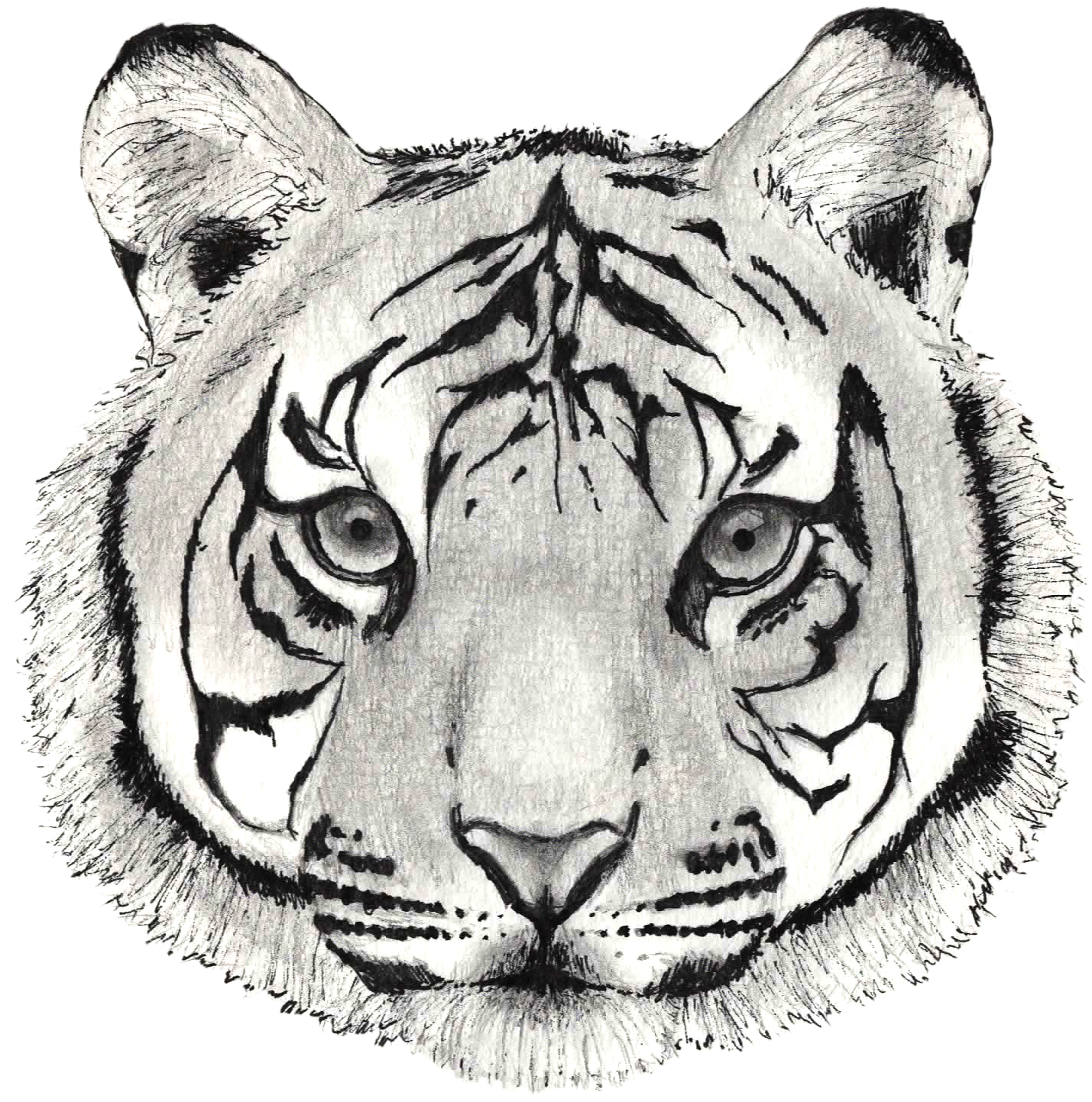 Mchoro wa Pamo wa uso wa Tiger Uliotengenezwa kwa Mikono Picha ya Ukuta