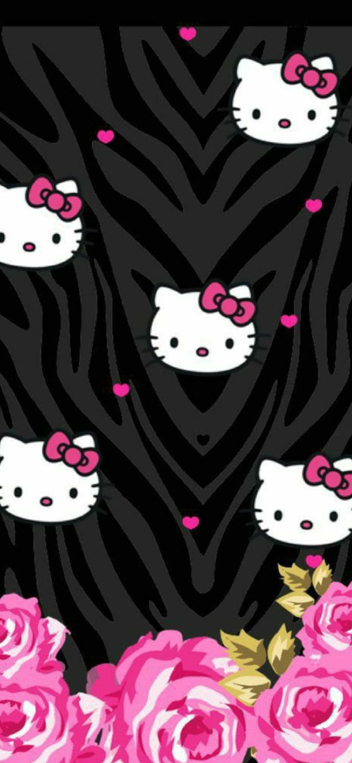Mchoro wa Wanyama Nyeusi wa Hello Kitty Picha ya Ukuta