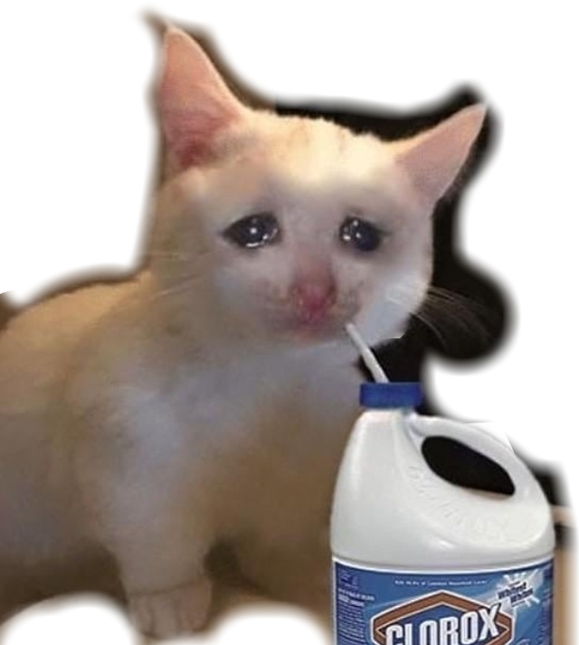 Meme ya Cat Inayotia na Bleach Picha ya Ukuta