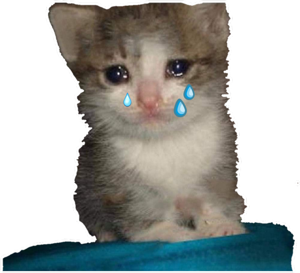Meme ya Kitten Inayoboa.PNG Picha ya Ukuta