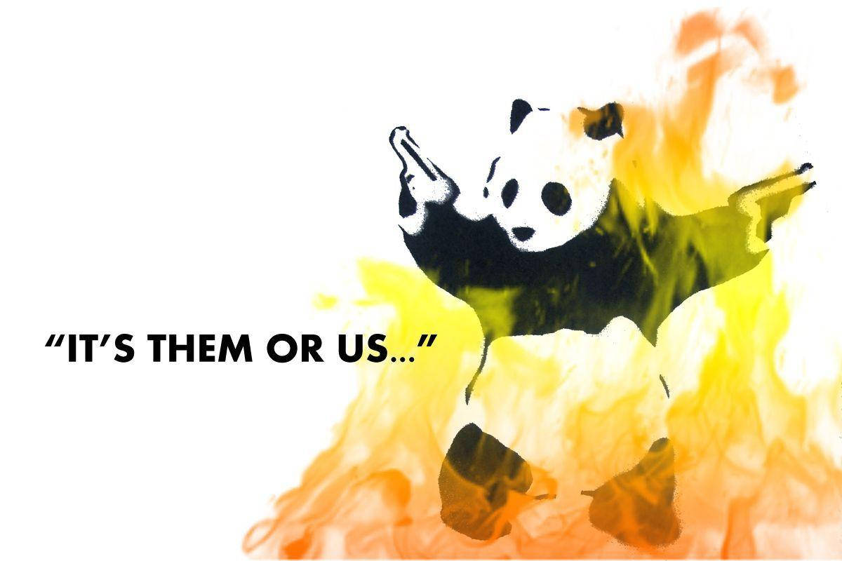 Meme ya Panda Mwenye Moto Picha ya Ukuta