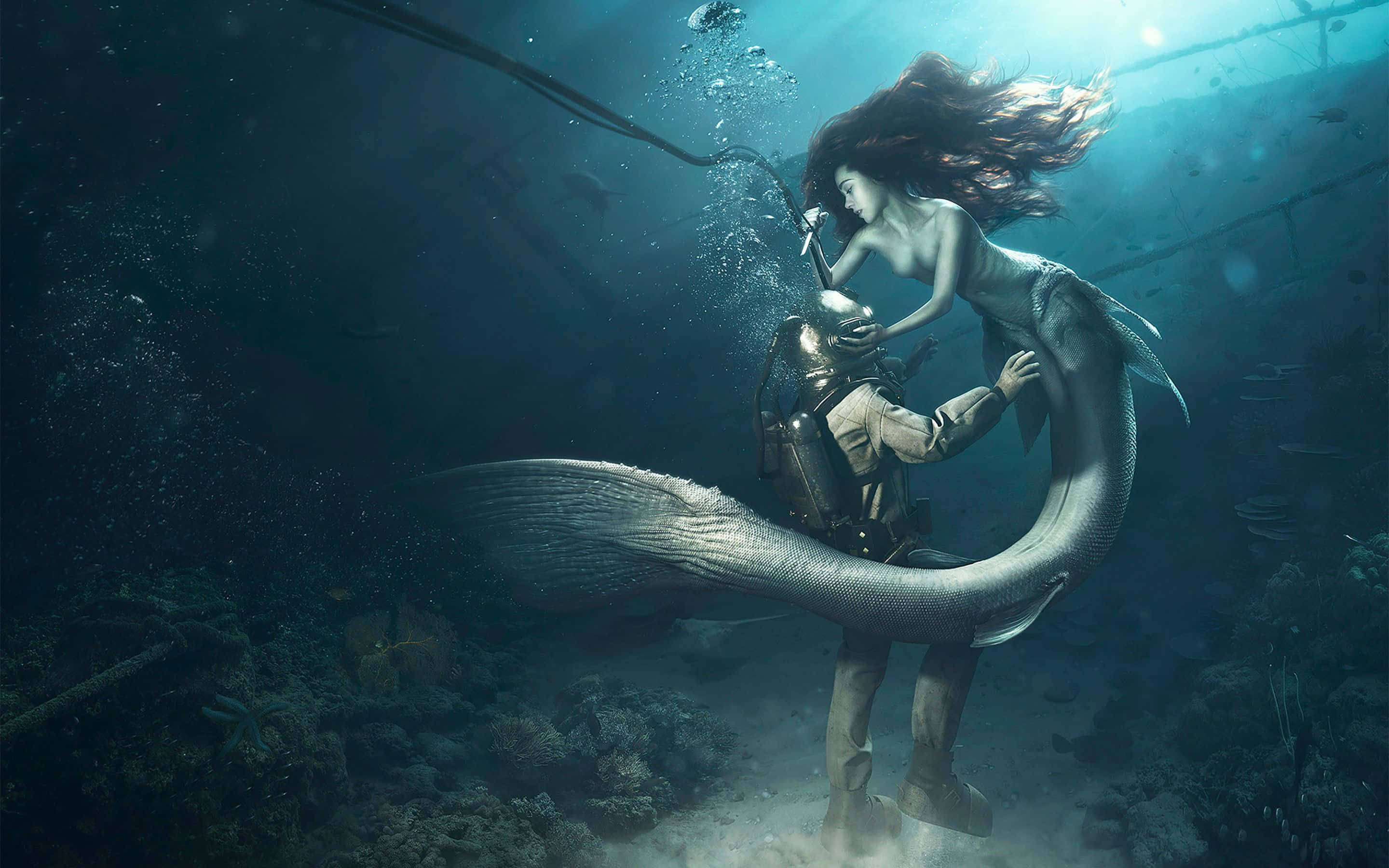 Mermaid Halisi na Mzamiaji Picha ya Ukuta