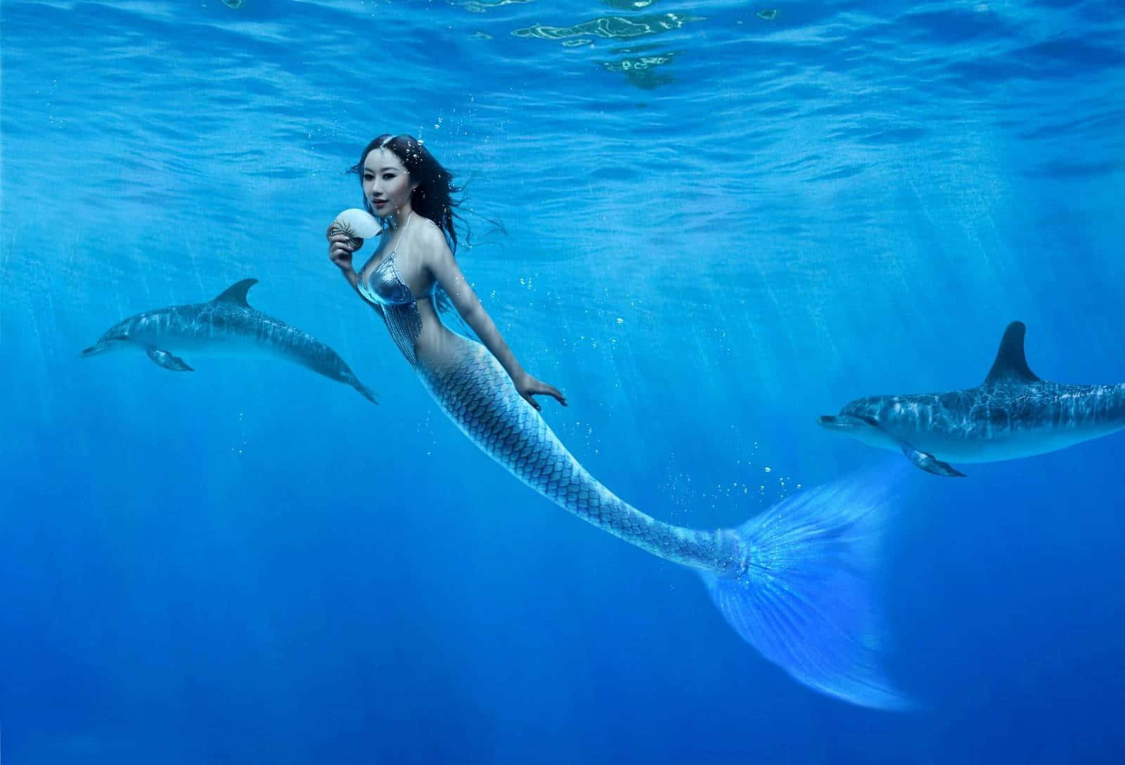 Mermaid na Pomboo Wawili Picha ya Ukuta