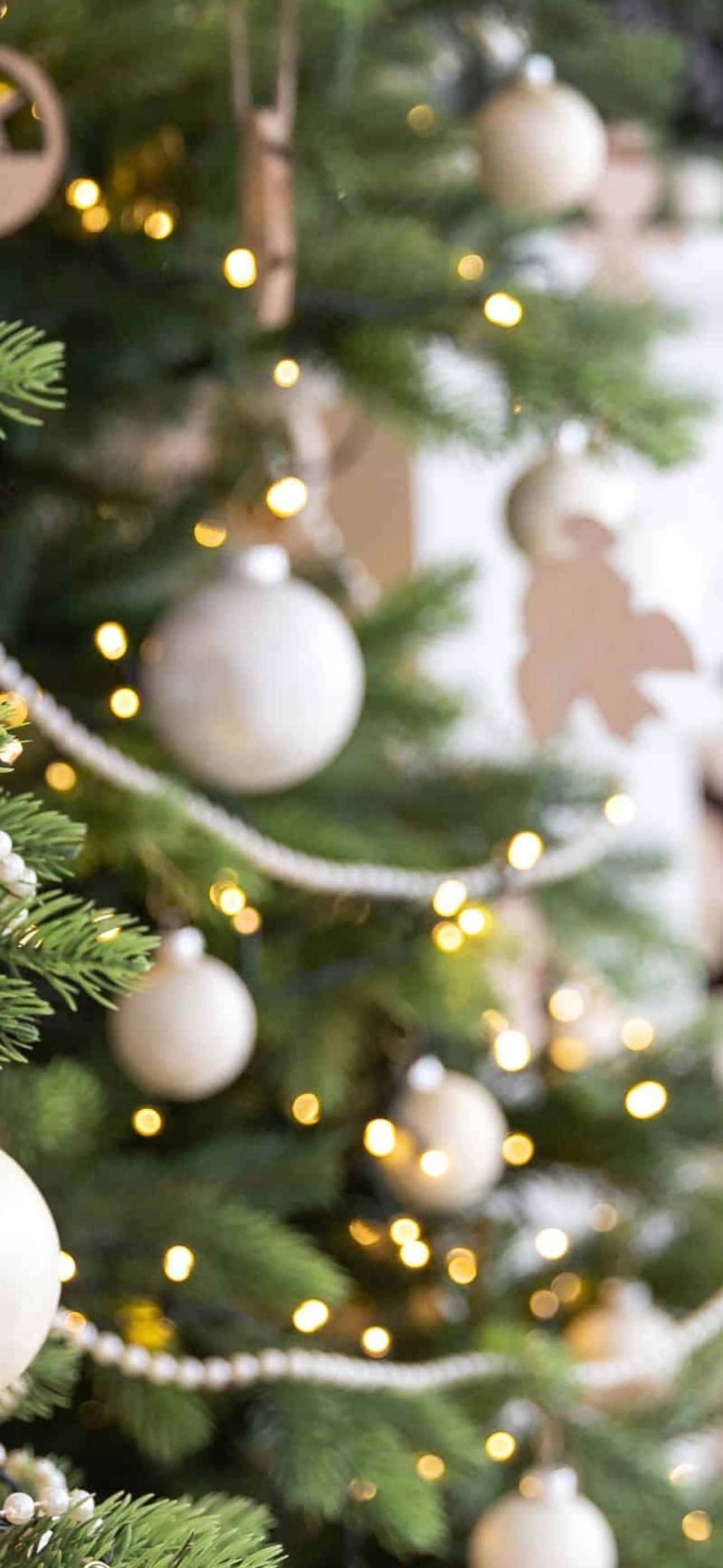 "Merry Christmas!" Picha ya Ukuta