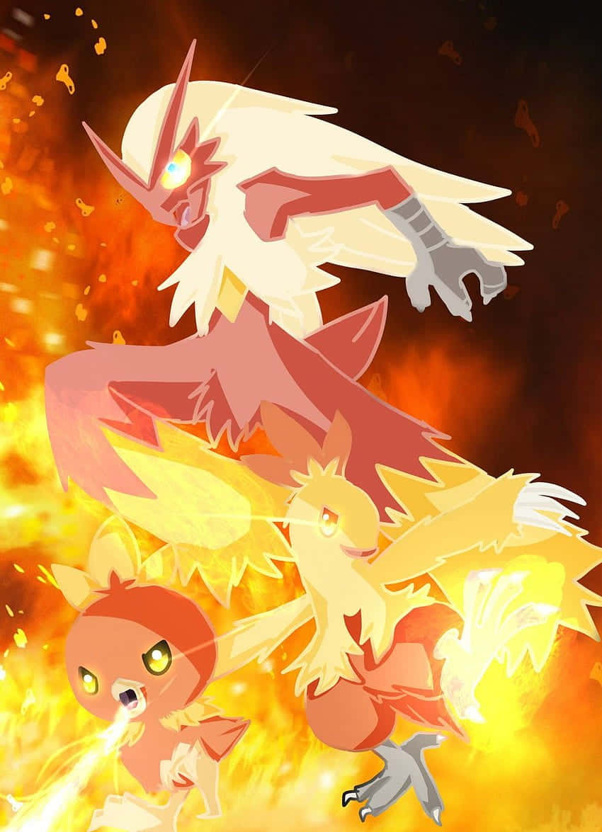 Michoro ya Hatua za Mageuzi ya Torchic Pokemon Picha ya Ukuta