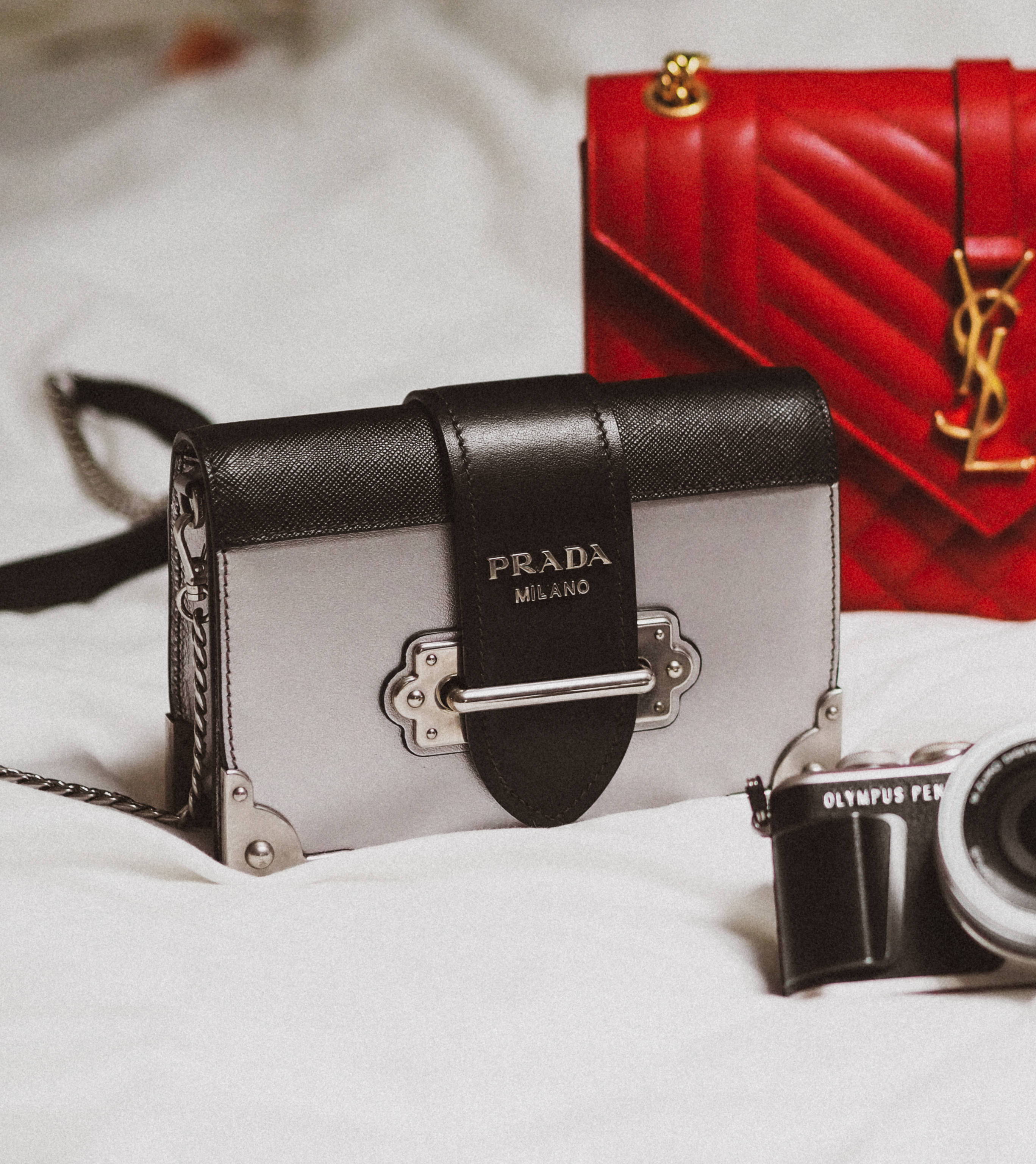 Prada And YSL Bags Picha ya Ukuta
