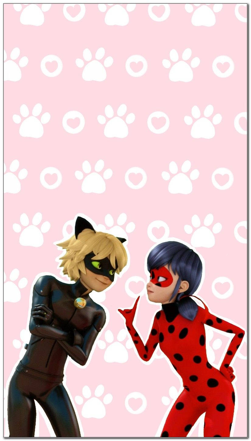 Miguu na Moyo wa Cat Noir Picha ya Ukuta