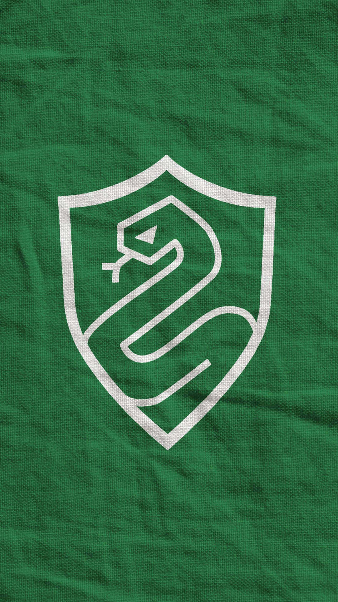 Miliki usiku na Slytherin Aesthetic Picha ya Ukuta