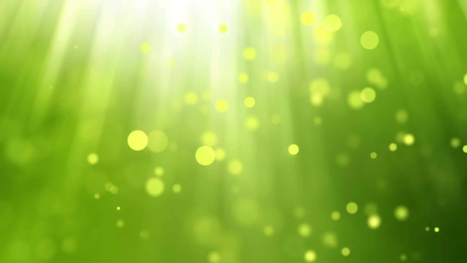 Mionzi ya Nuru na Bokeh katika Mandhari ya Kijani Nyepesi Picha ya Ukuta