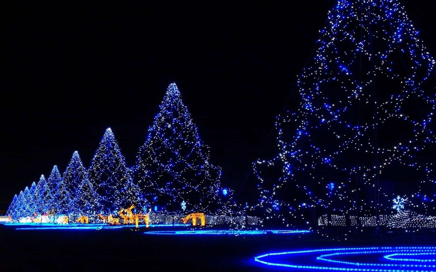 Miti Mikubwa ya Krismasi ya Bluu Picha ya Ukuta