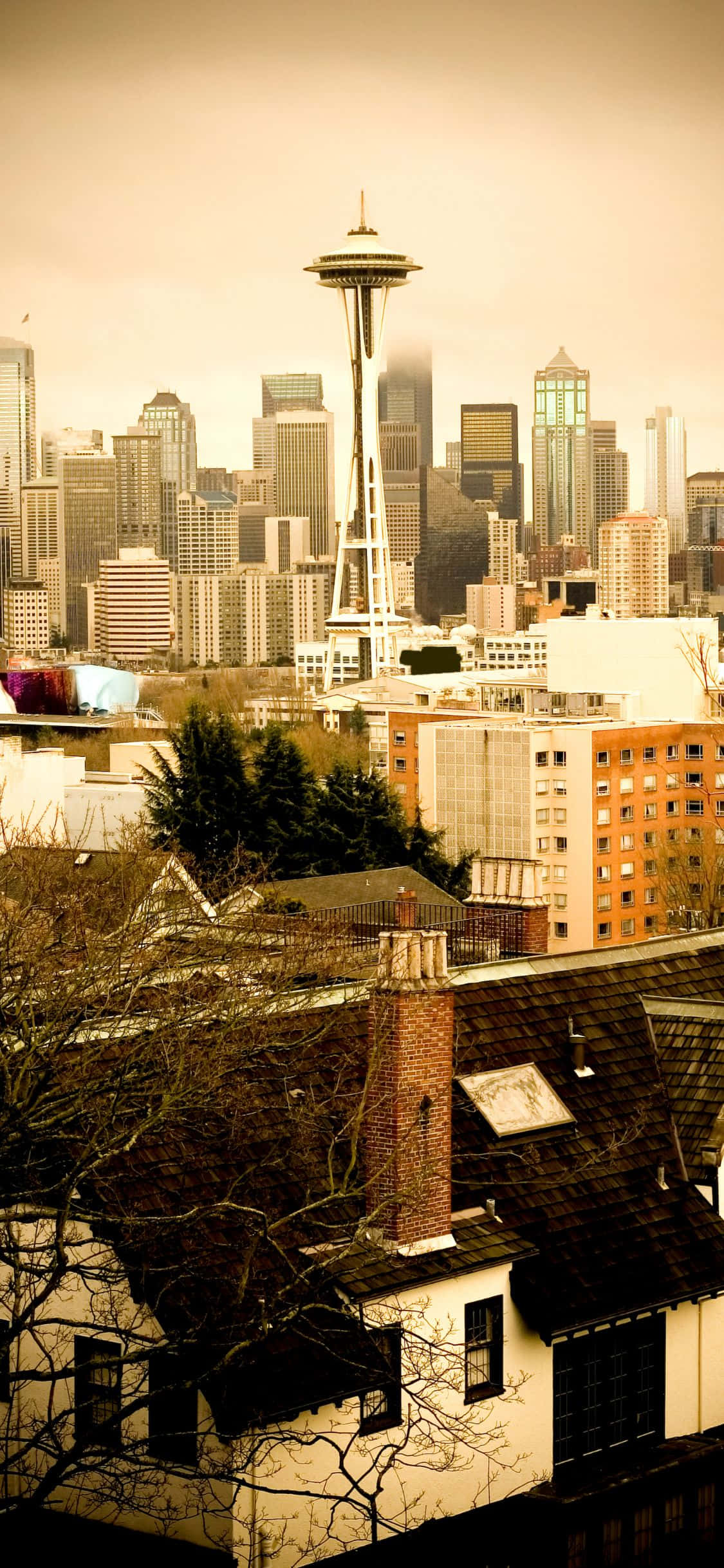 mji na space needle Picha ya Ukuta