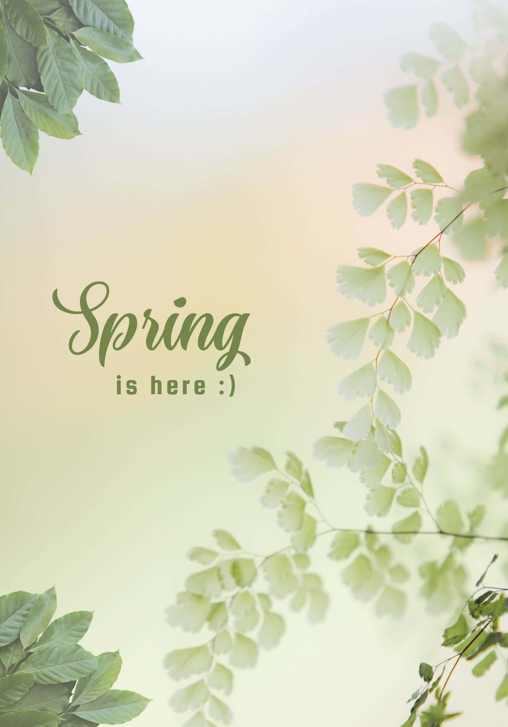 Mkandarifu Best Spring Green Leaves Background Picha ya Ukuta