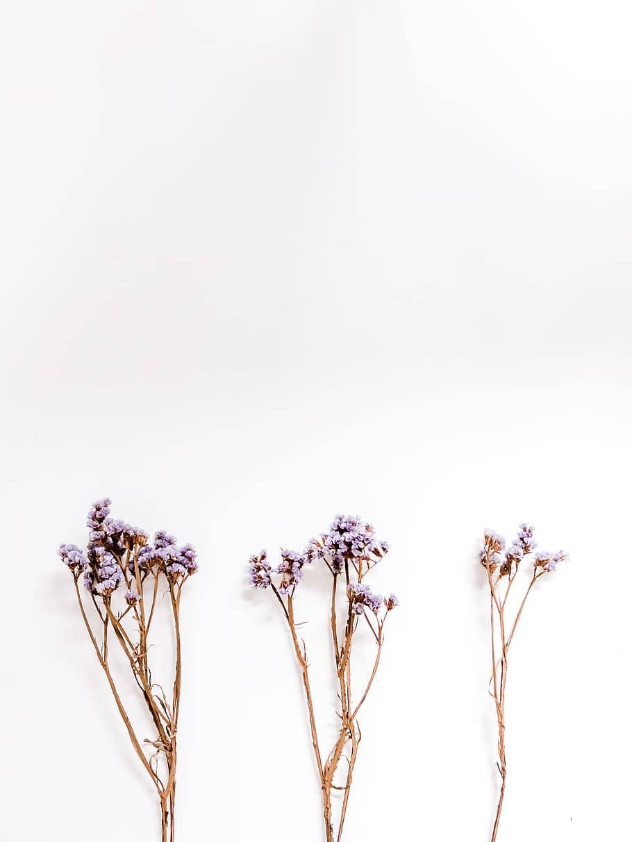 Mkono wa Maua ya Lavender Aesthetic Picha ya Ukuta