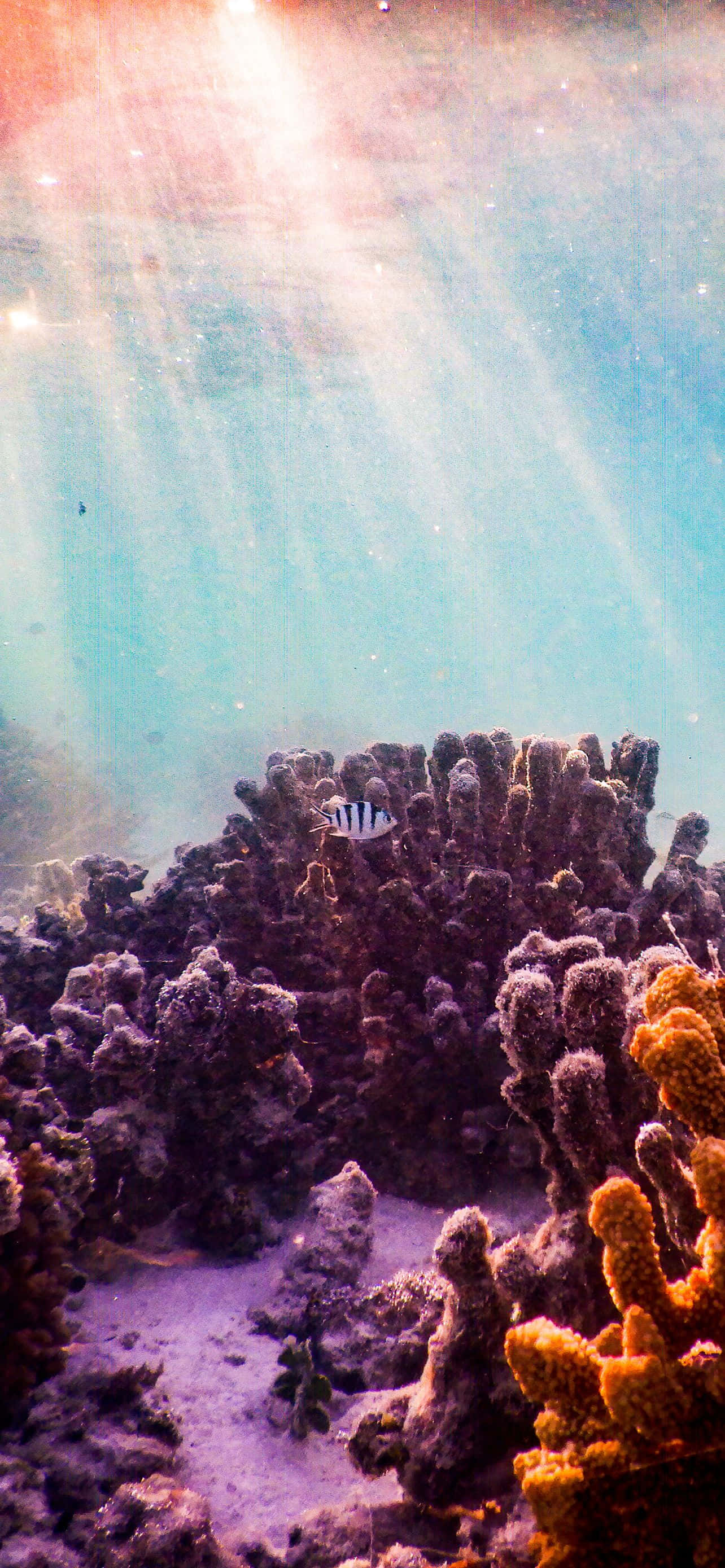 Mlima unaoangalia ziwa la utulivu Picha ya Ukuta