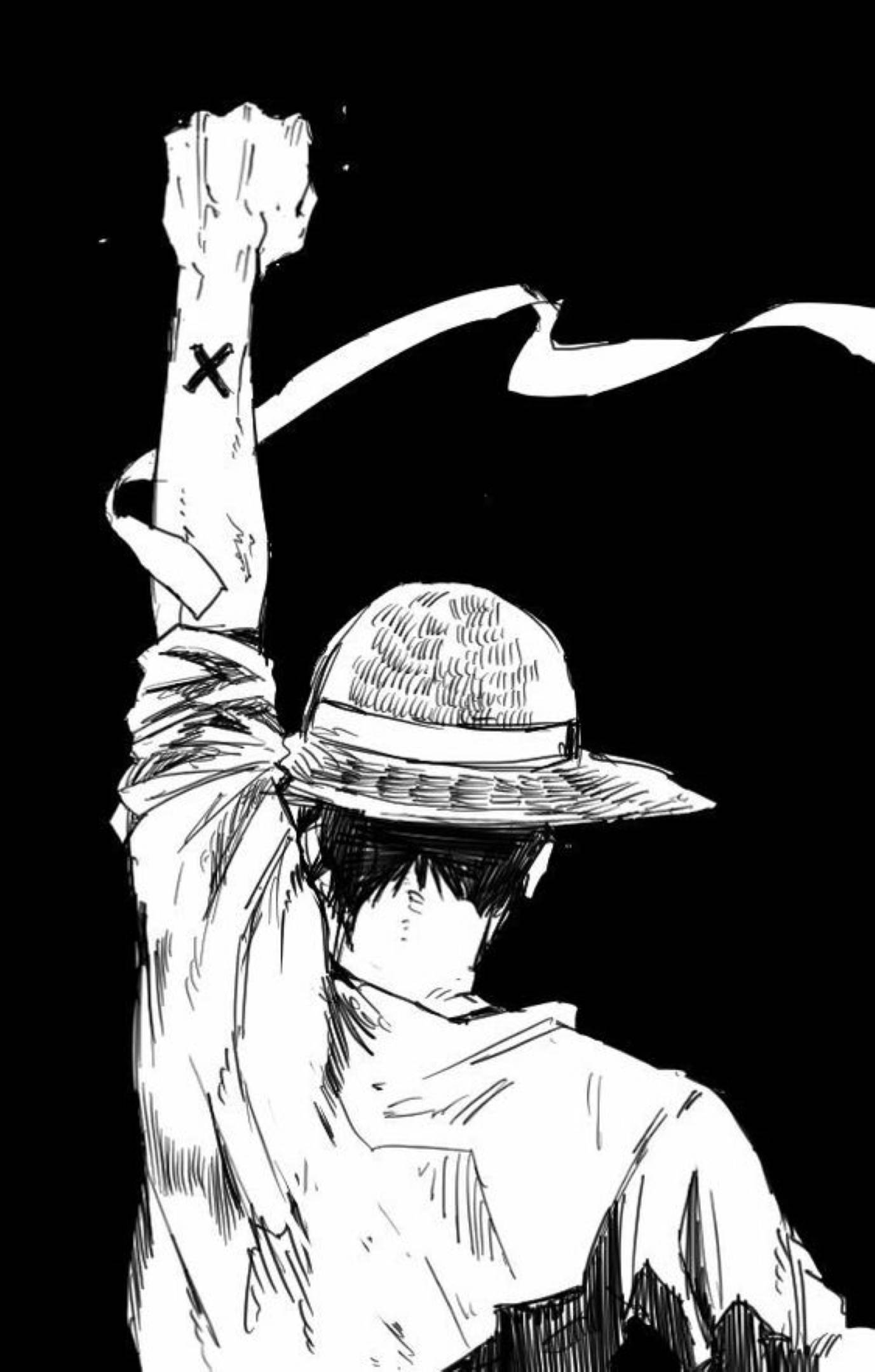 Monkey D Luffy Back Sketch Art Picha ya Ukuta