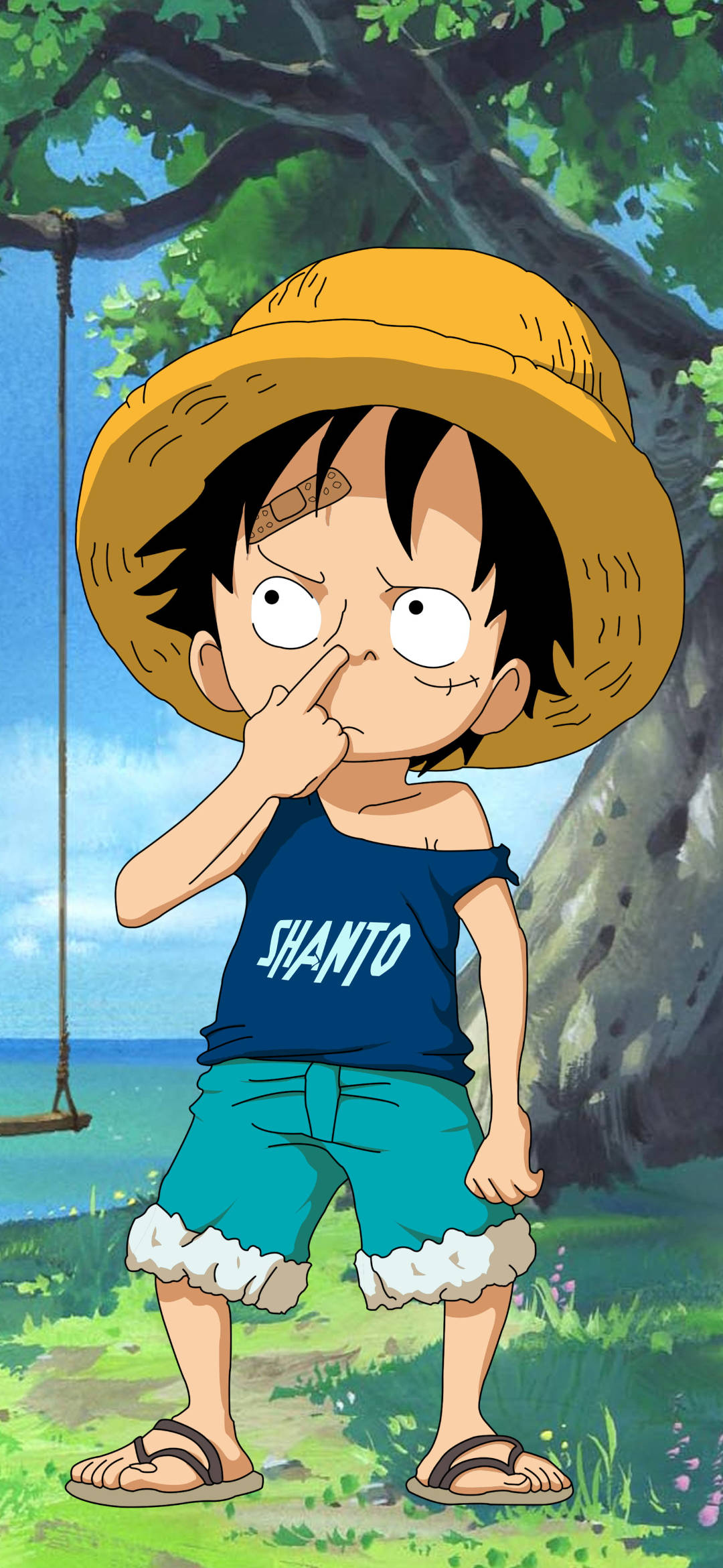Monkey D Luffy Kid Picha ya Ukuta