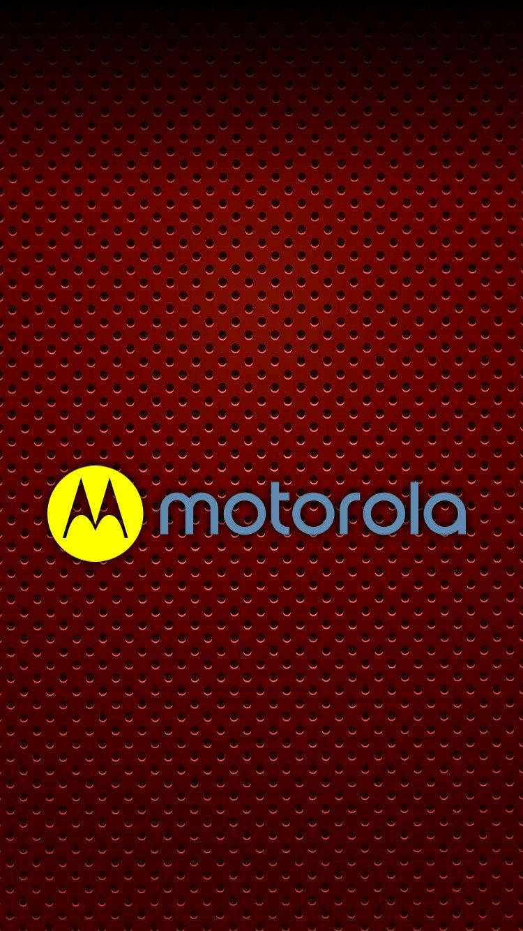 Motorola ya Rangi ya Kifaranga Katika Maroon Picha ya Ukuta