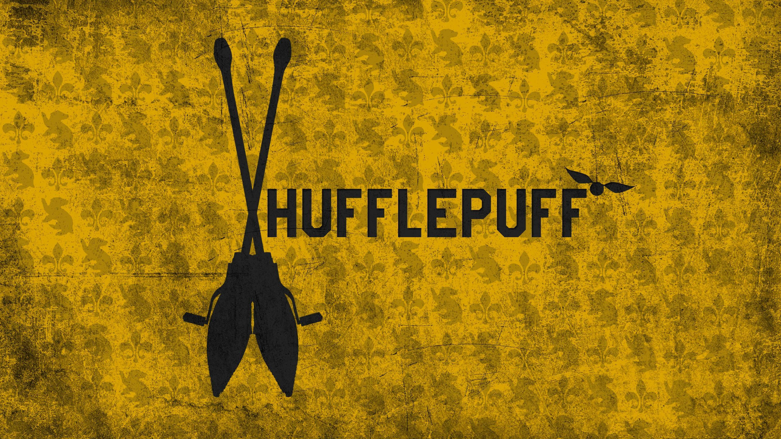 Mpira wa Kompyuta wa Harry Potter na Alama ya Quidditch ya Hufflepuff Picha ya Ukuta