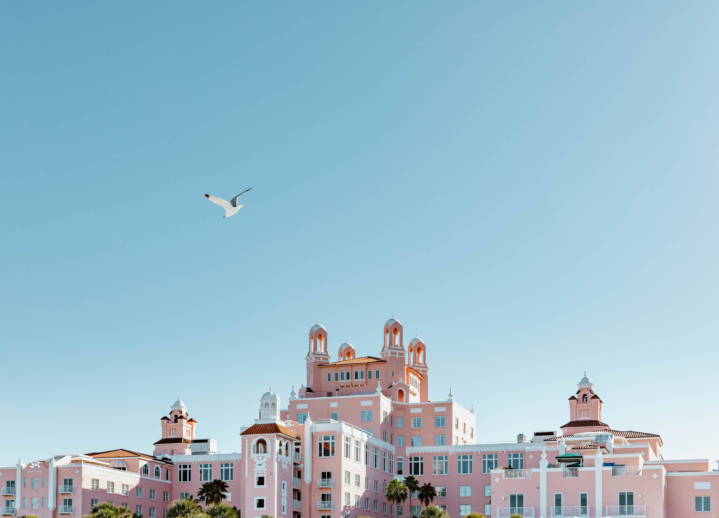 Mrembo wa St Petersburg Pink Picha ya Ukuta