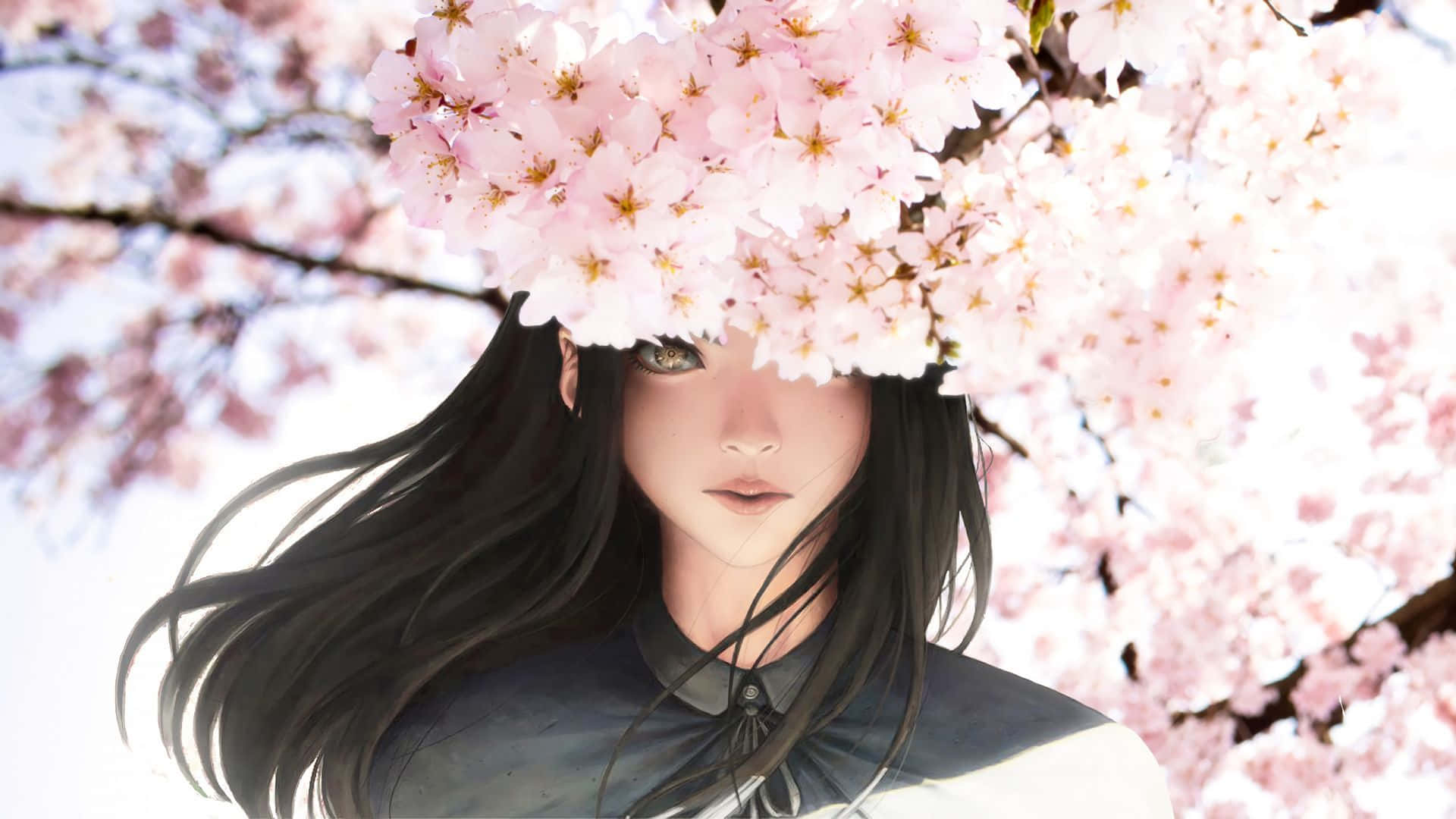 Msichana Mzuri Mwenye Nywele Nyeusi Na Maua Ya Sakura Anime Picha ya Ukuta