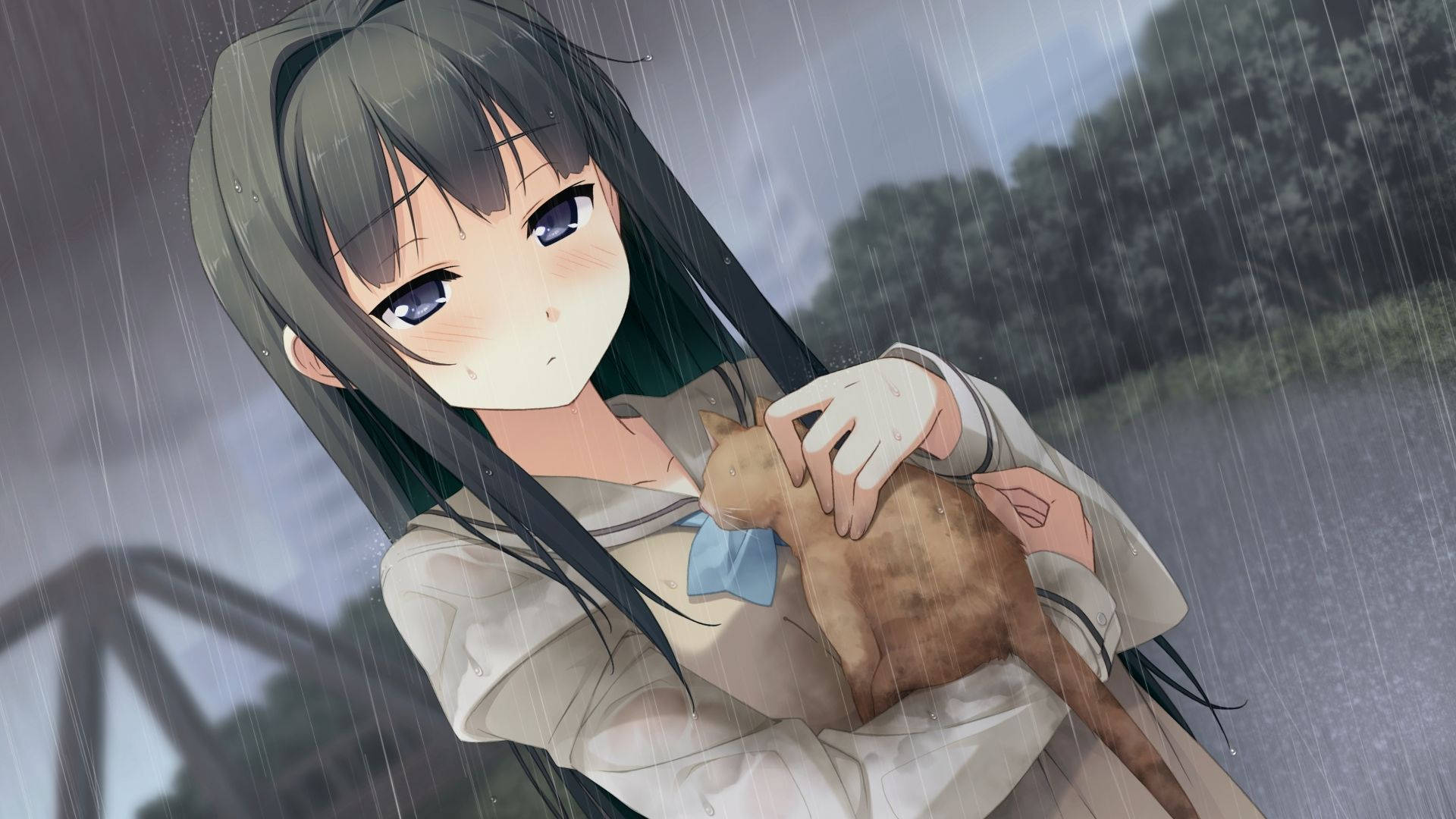 Msichana wa Anime Akiwa na Paka Nightcore Picha ya Ukuta
