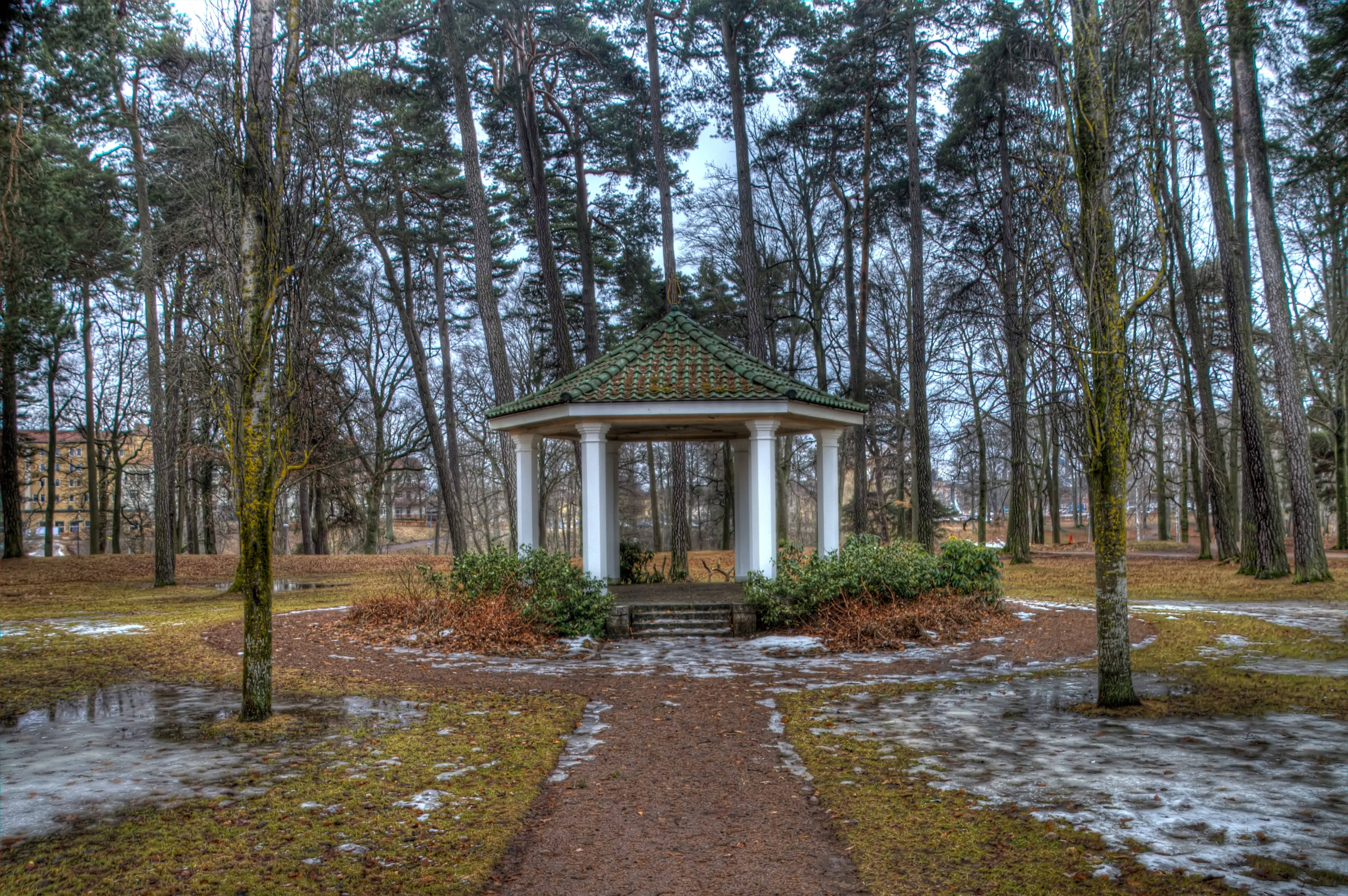 Msimu wa Spring Park Picha ya Ukuta
