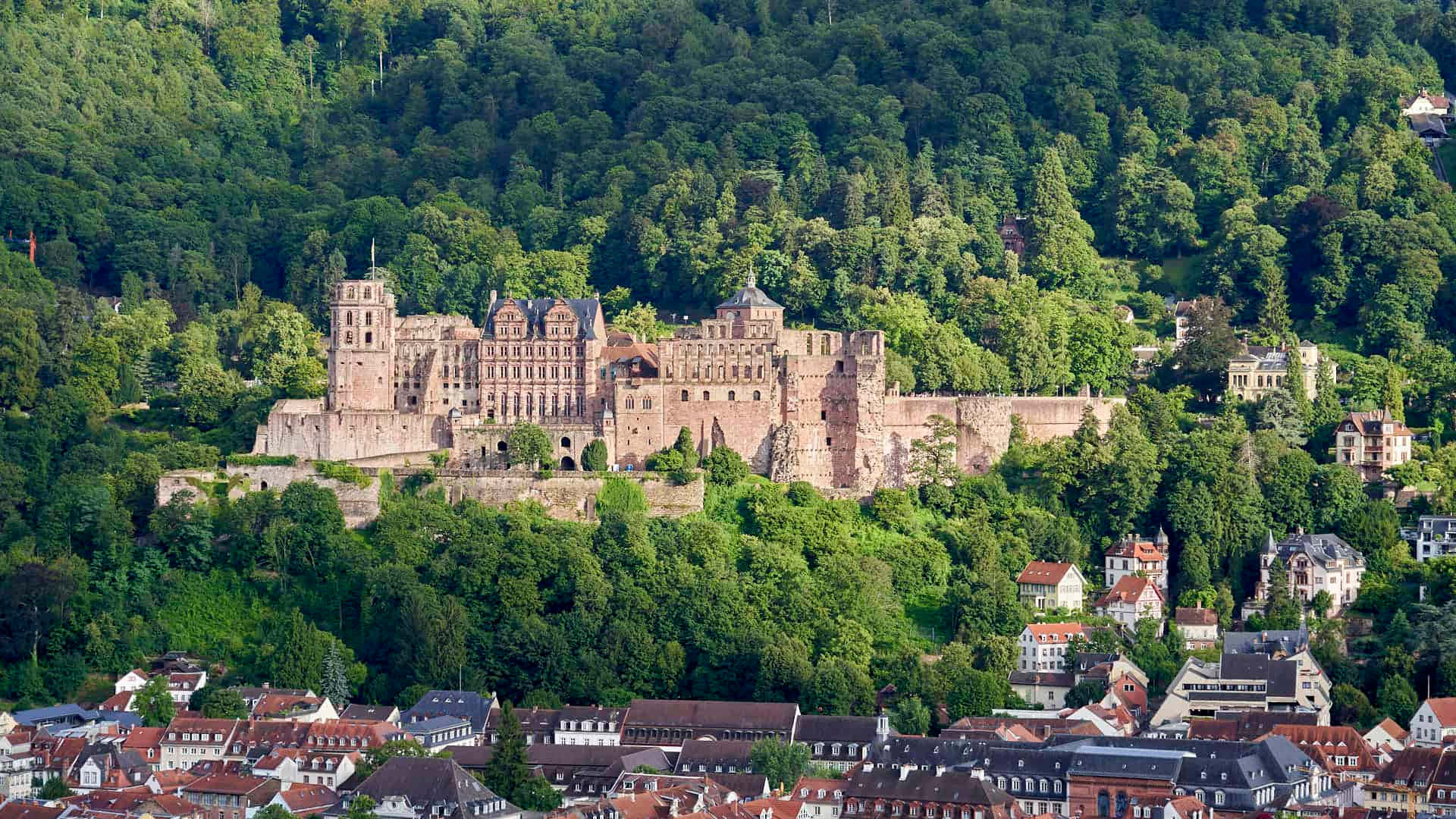 Msitu Karibu na Kasri la Heidelberg Picha ya Ukuta