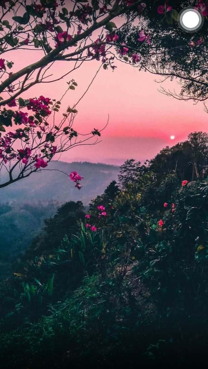 Msitu wa Mlima Wenye Maua ya Waridi Aesthetic Asili ya Simu Picha ya Ukuta