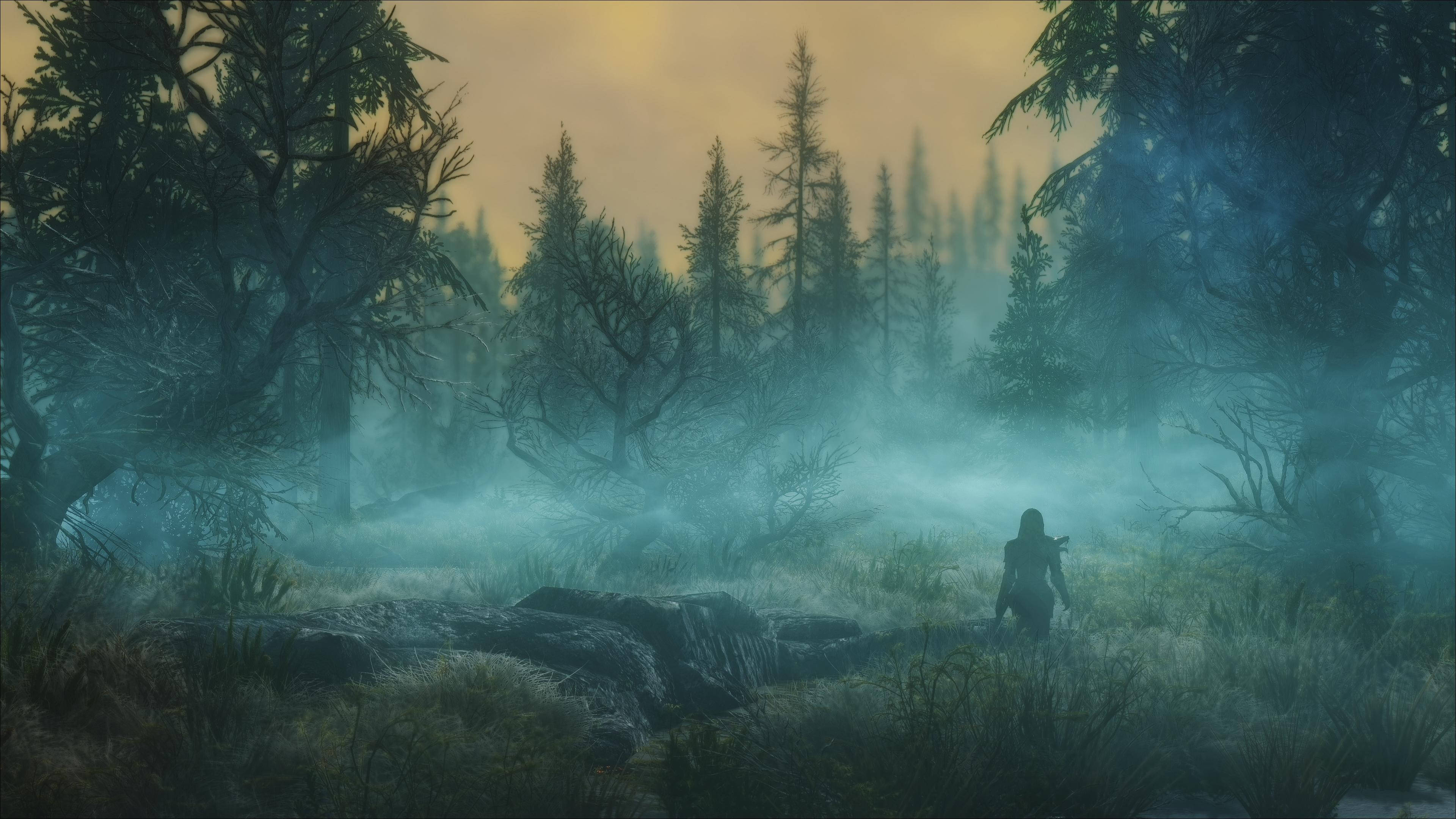 Msitu Wenye Ukungu Mweusi wa Skyrim Ultra HD Picha ya Ukuta