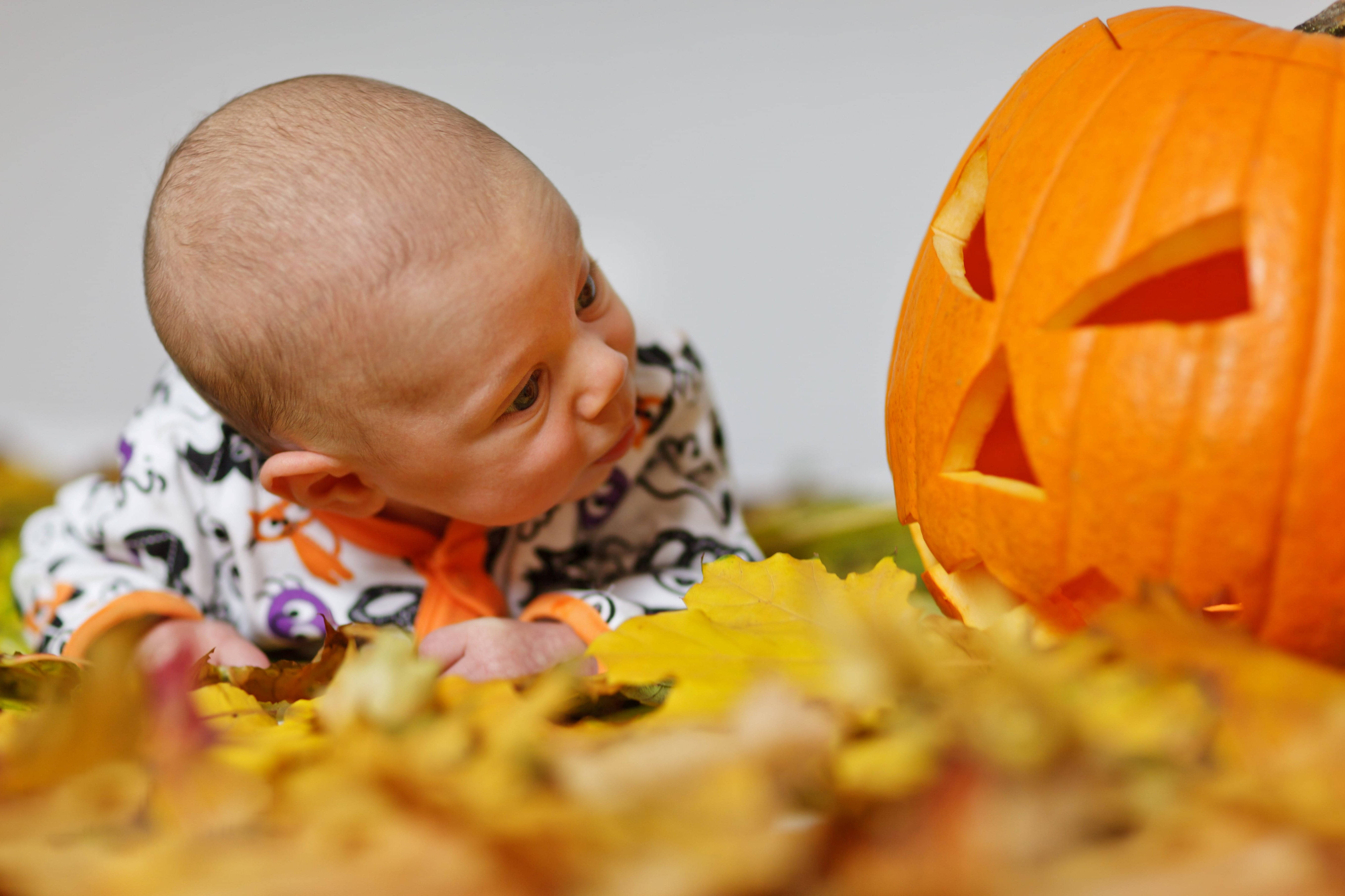 Mtazamo Mtamu wa Mtoto wa Halloween na Boga Picha ya Ukuta