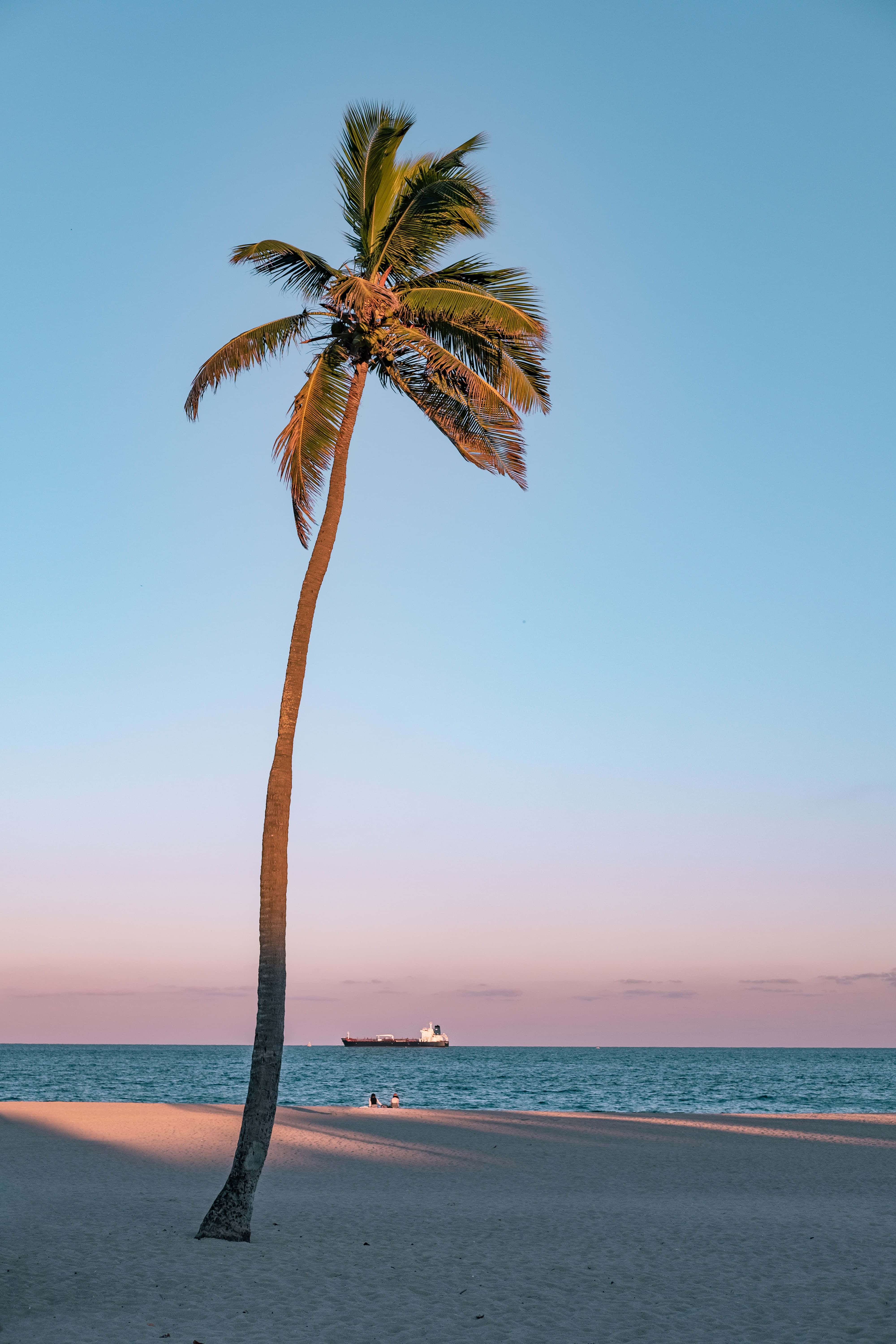 Mtende wa California Aesthetic Picha ya Ukuta