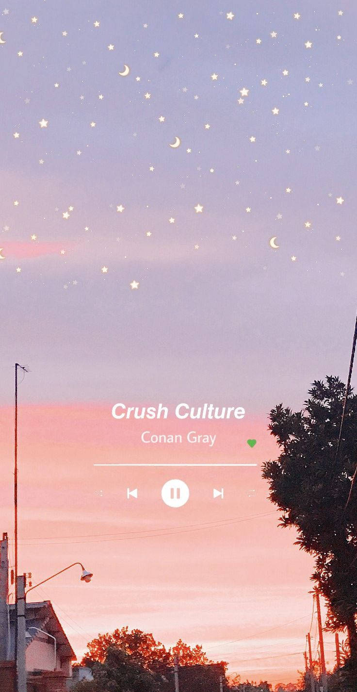 Muziki wa Conan Gray Aesthetic Picha ya Ukuta