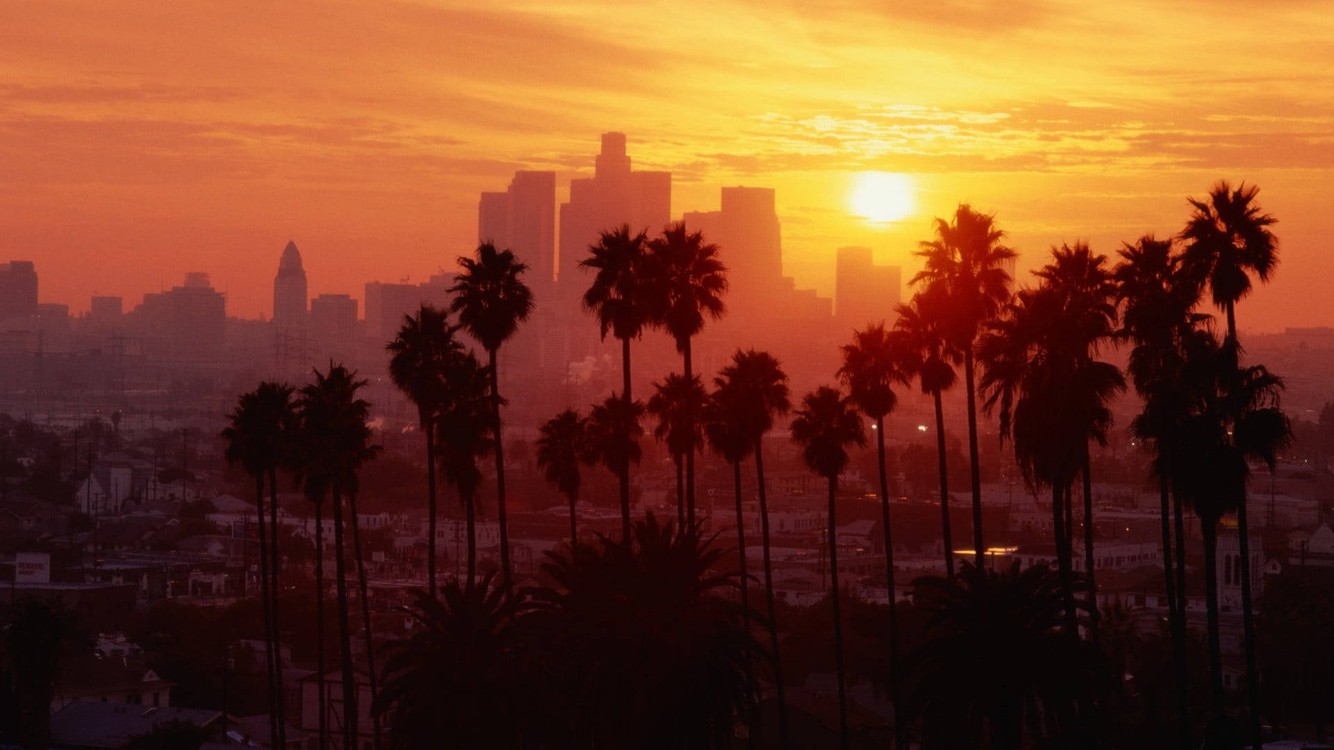 Mwale wa Palm Jioni ya Jua Los Angeles Picha ya Ukuta