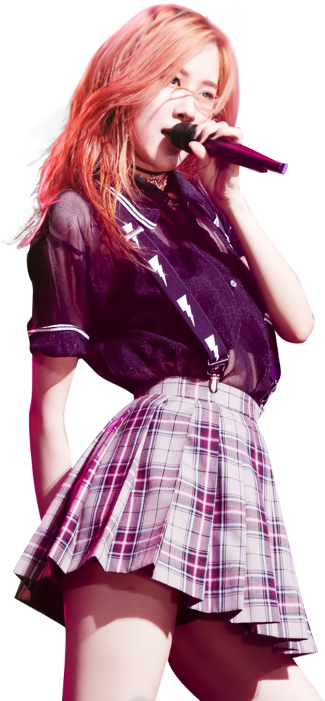 Mwanachama wa Blackpink Akiigiza Jukwaani Picha ya Ukuta
