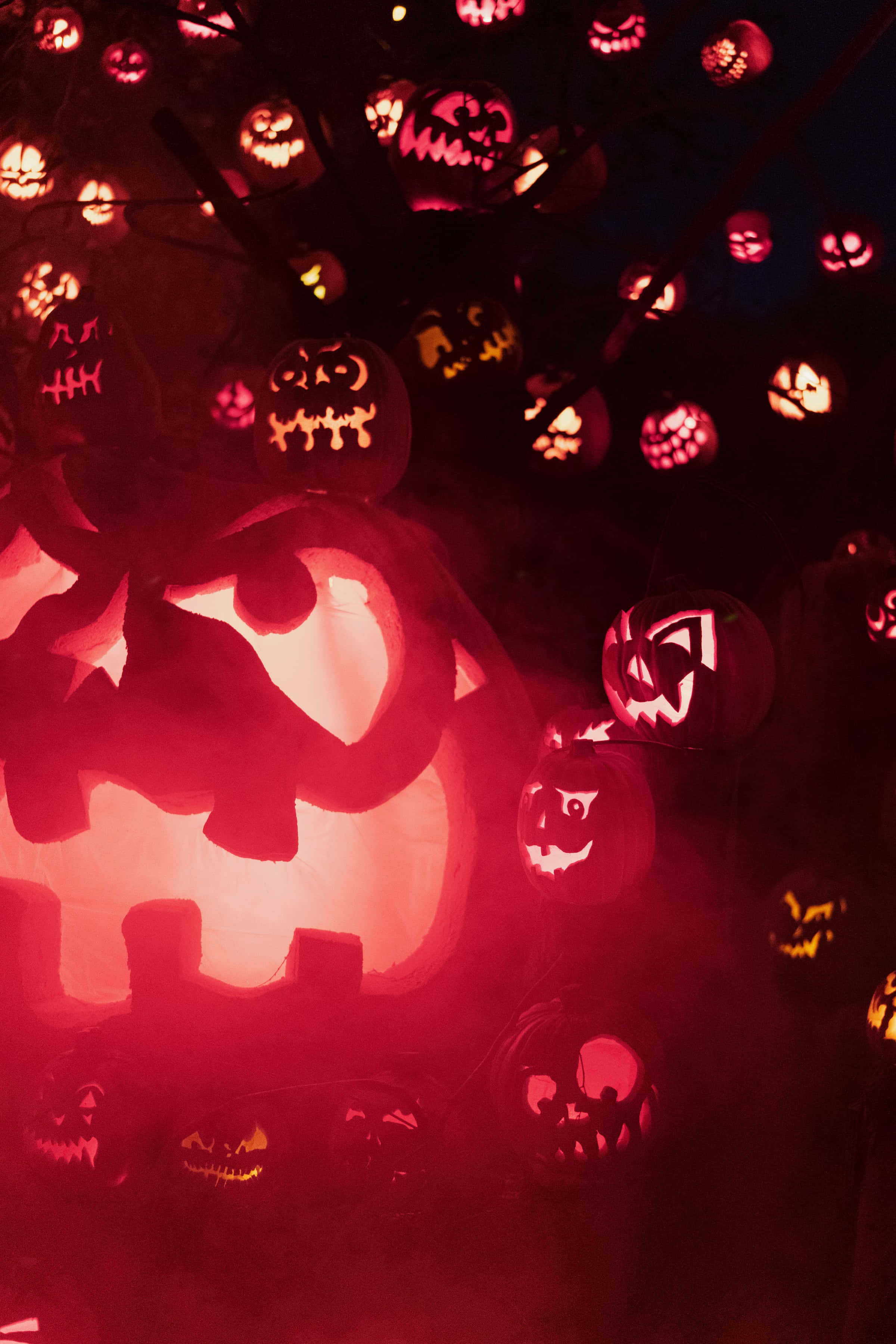 Mwangaza wa Jack-O-Lantern wa Nyuma ya Halloween ya Kukata Kwa Kukata Picha ya Ukuta