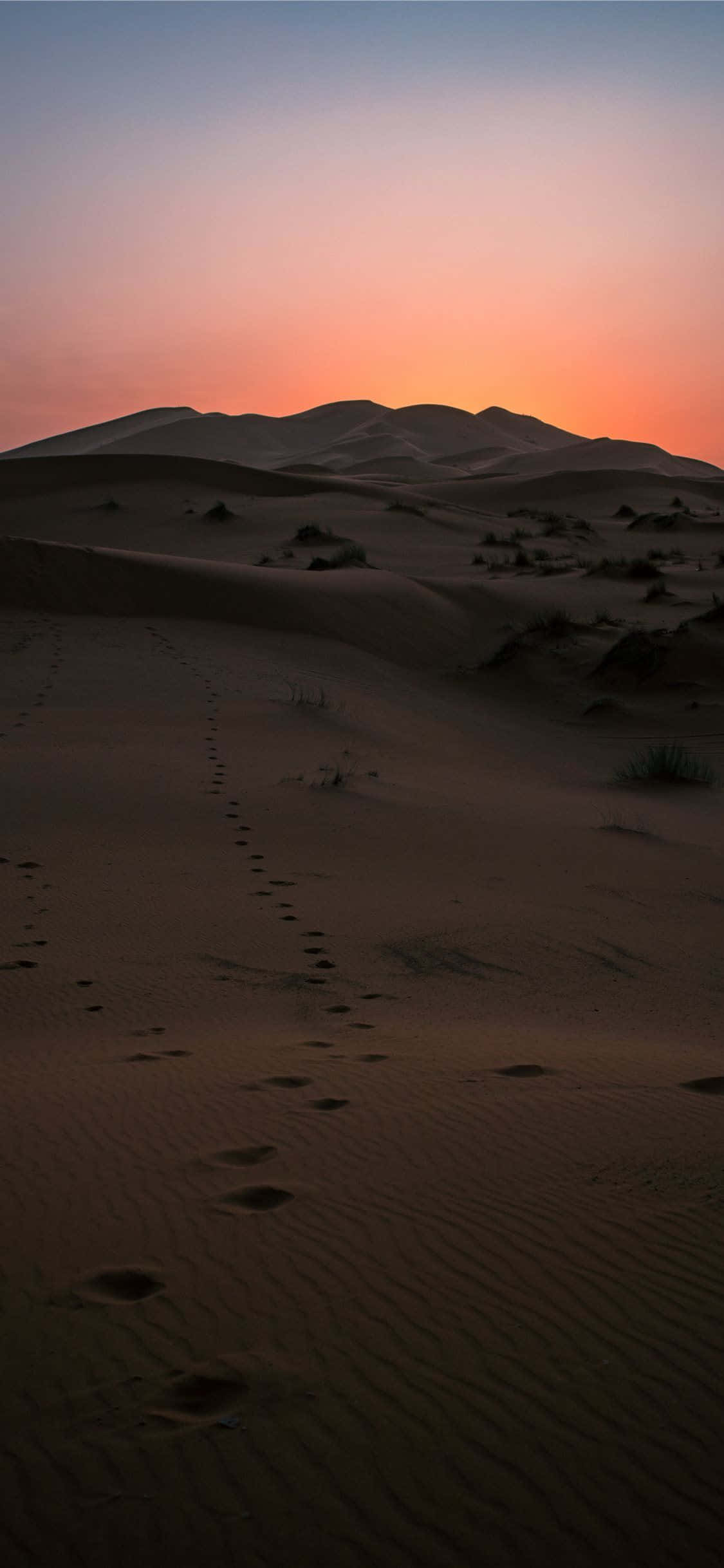 Mwangaza wa Mwanga Katika Sahara iPhone Picha ya Ukuta