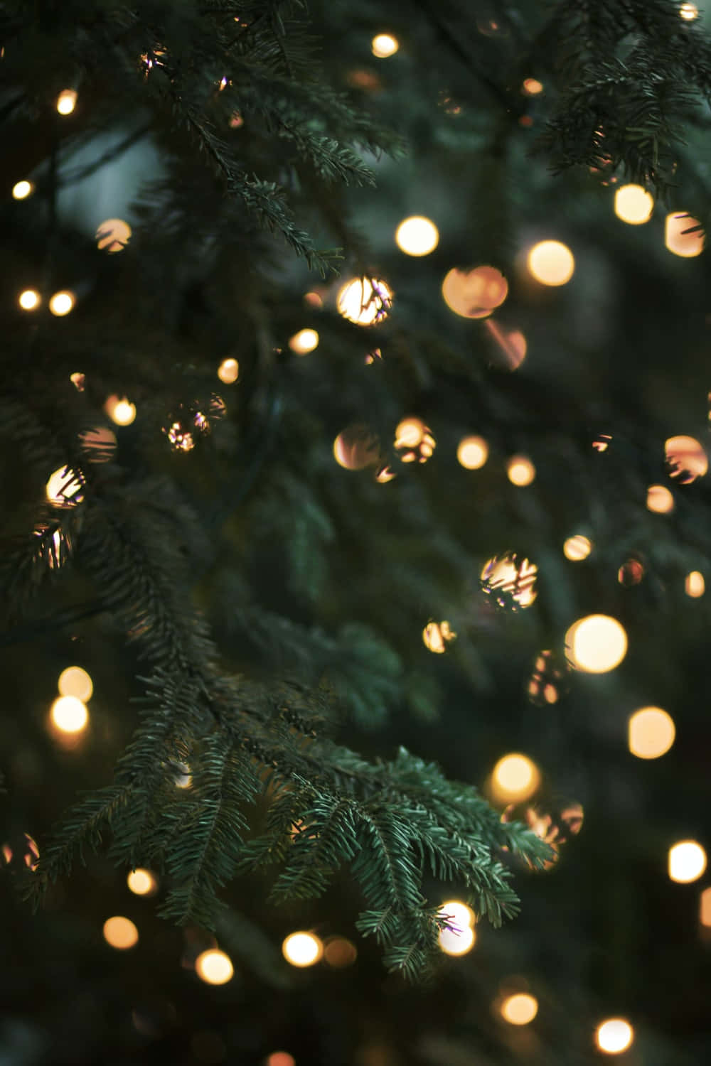 Enchanting Spring Lights Picha ya Ukuta