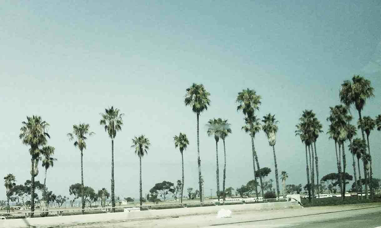 Mwanzo wa Pwani wa California wa Kifahari Picha ya Ukuta