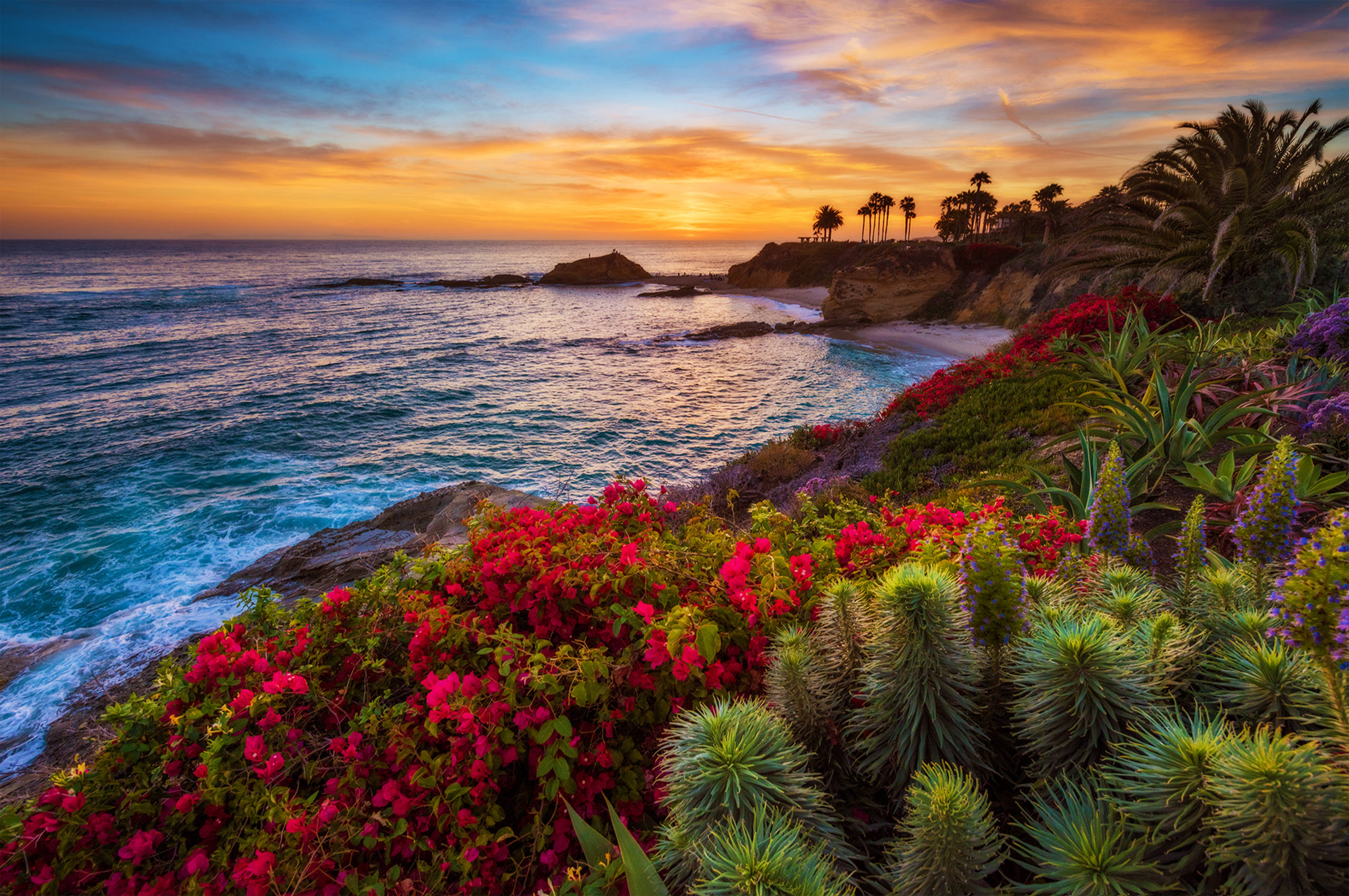 Mwonekano wa Bahari wa California Picha ya Ukuta