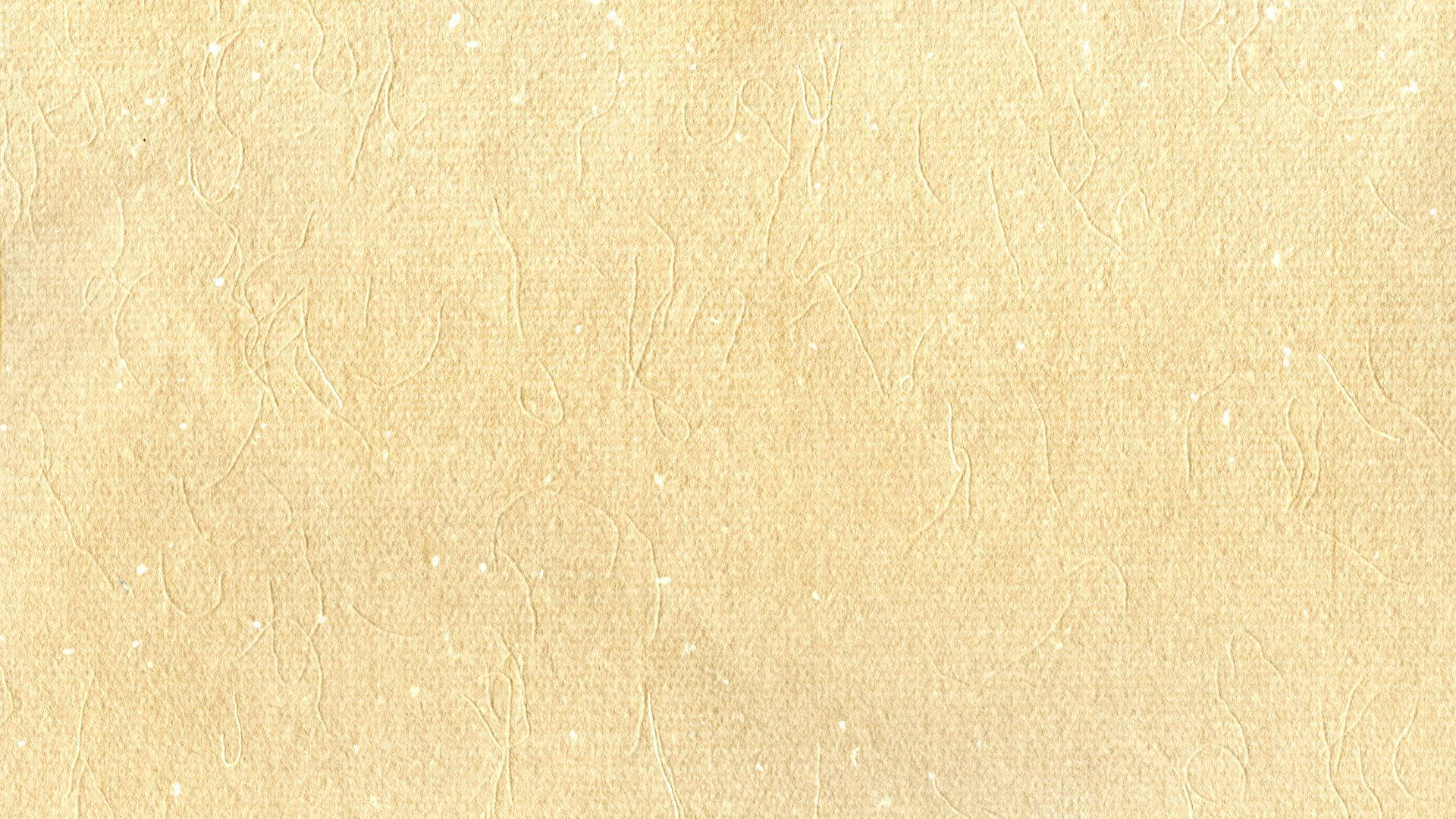 Nafasi ya Karatasi yenye Rangi ya Beige Picha ya Ukuta