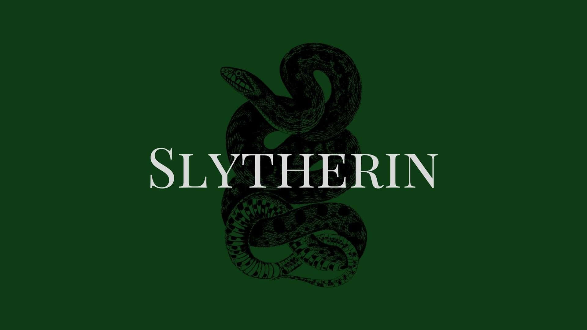 Nani atashinda katika vita vya kijeshi kati ya Gryffindors na Slytherins? Picha ya Ukuta