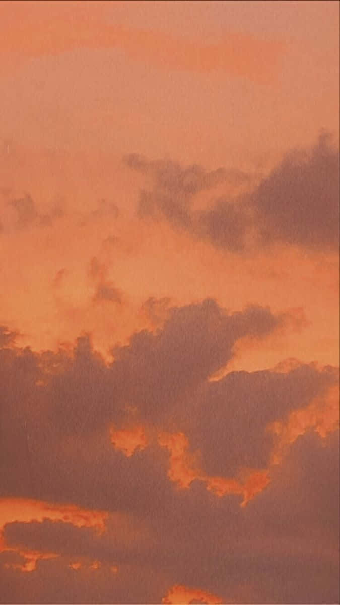 ndege ikiruka angani Picha ya Ukuta