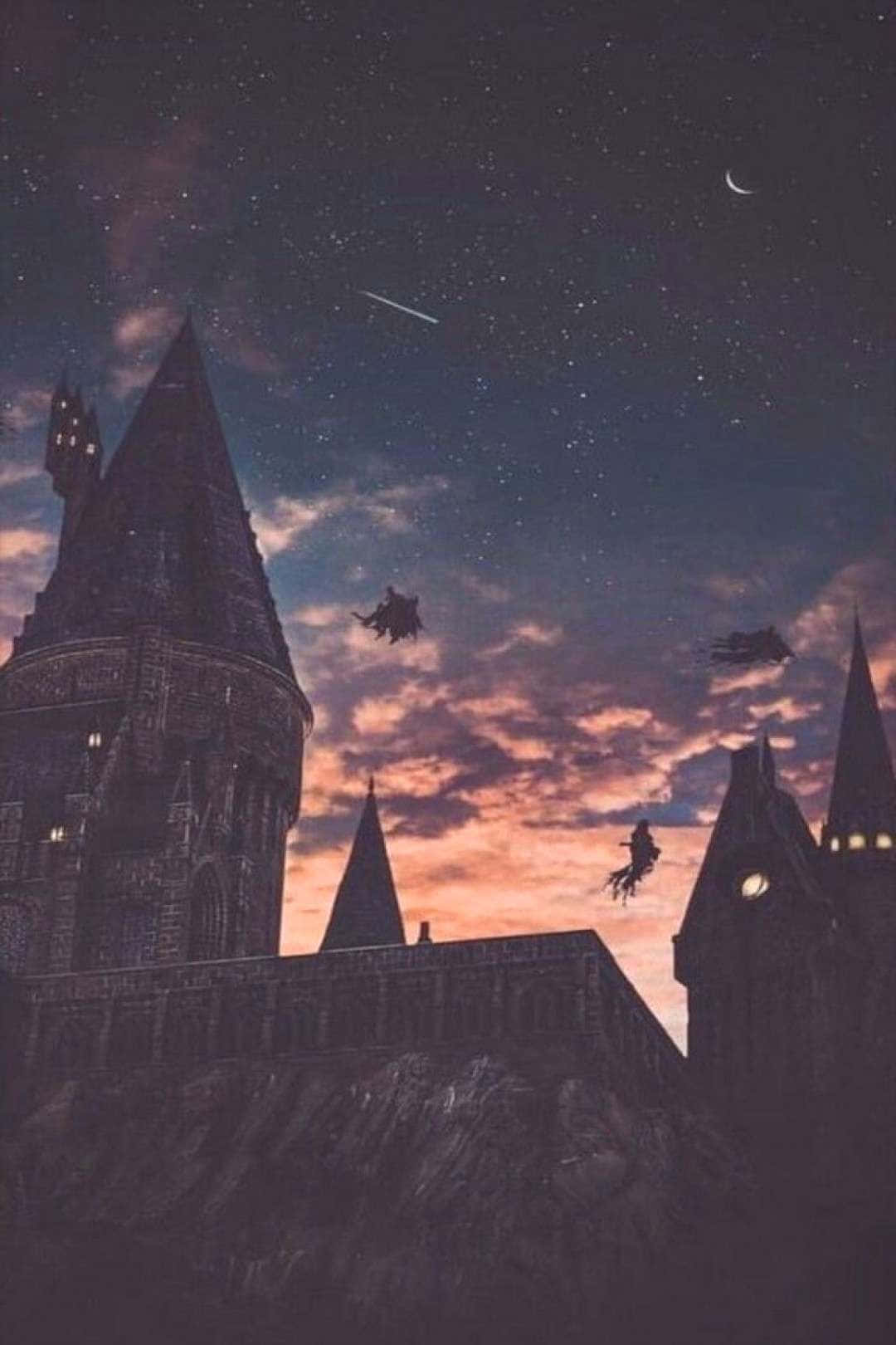 Ndege Kuelekea Hogwarts Picha ya Ukuta
