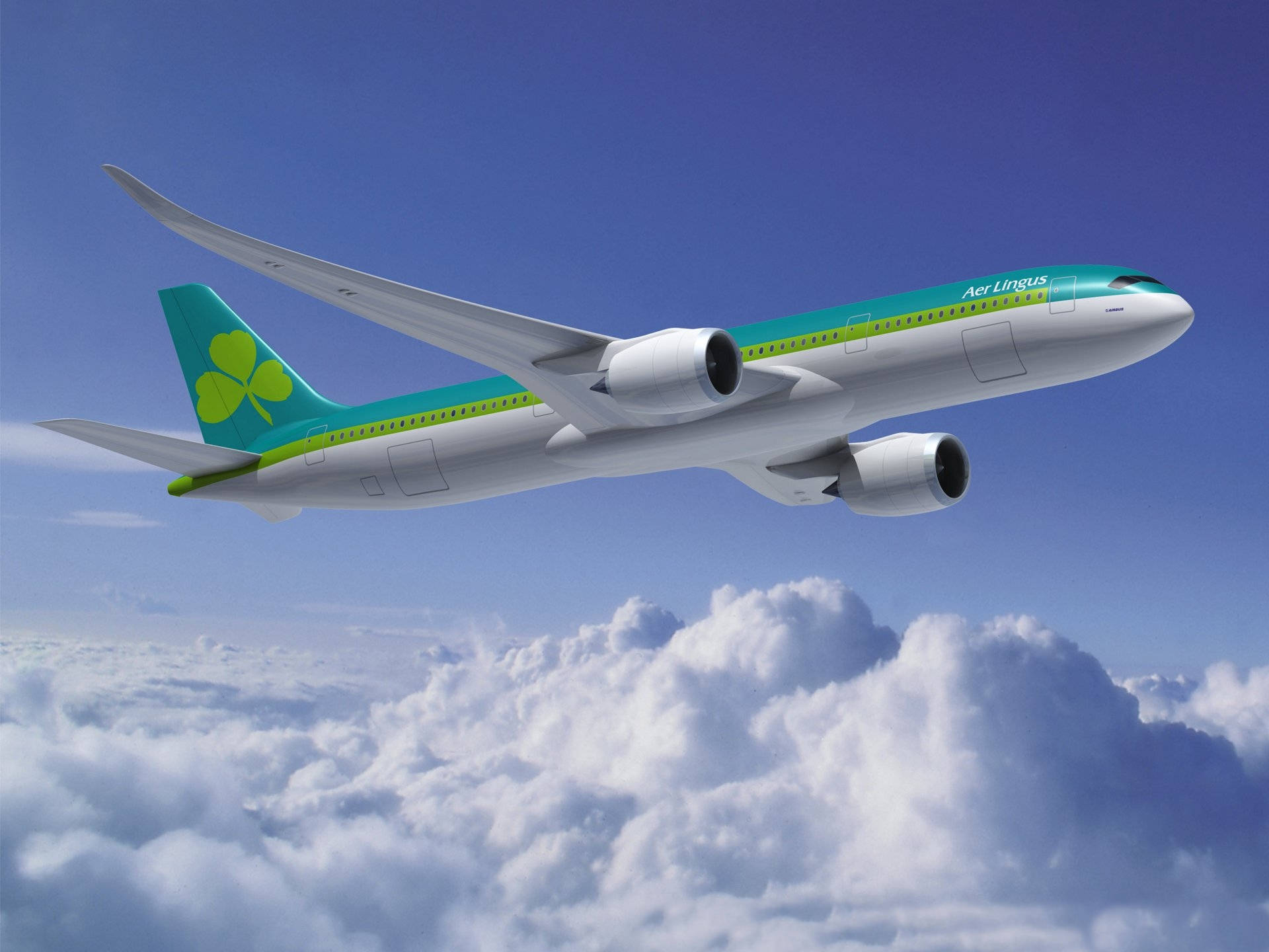 Ndege ya Aer Lingus Ikiruka Picha ya Ukuta