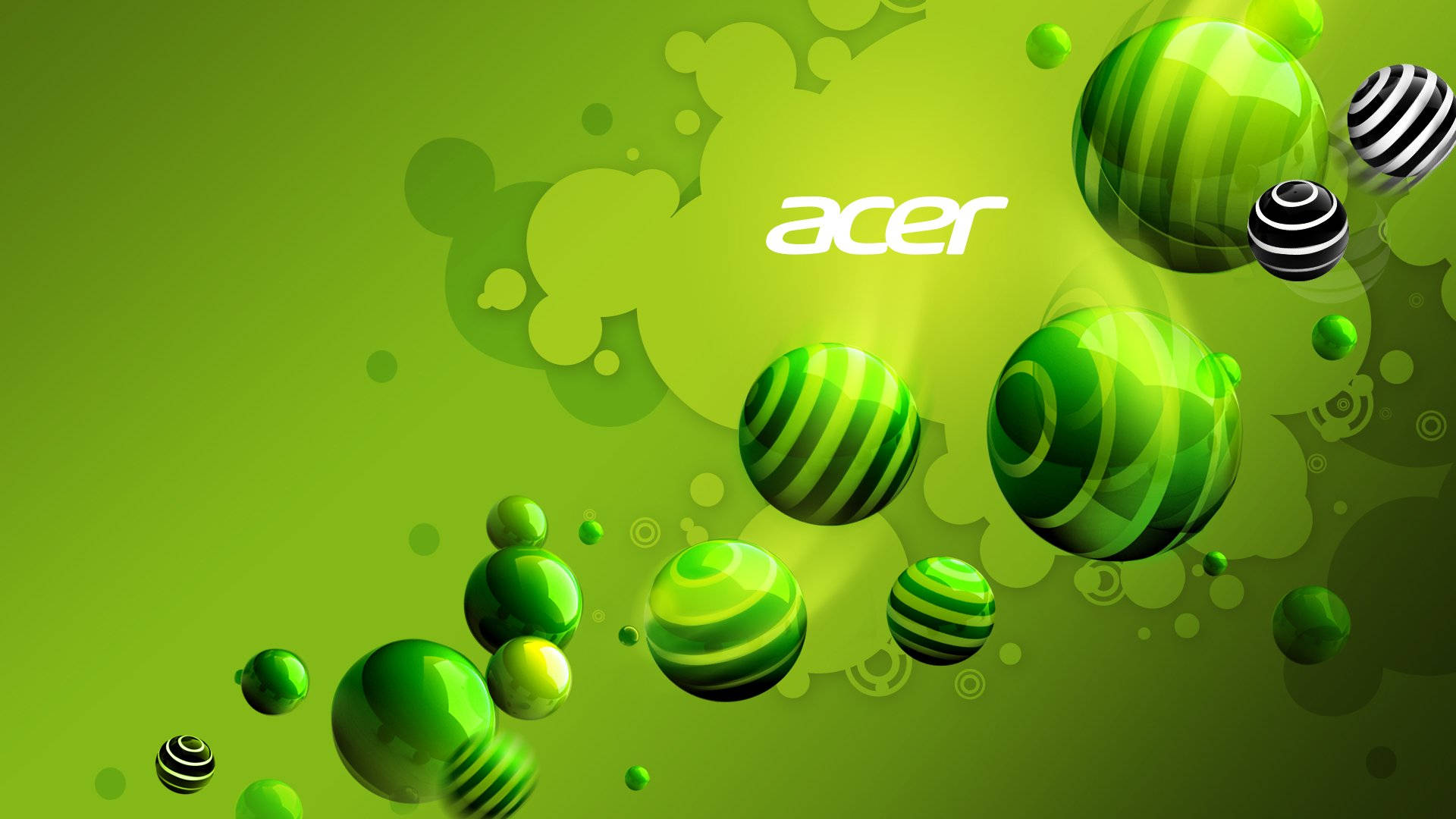 Nembo ya Acer ya Kijani Kibichi na Nyeupe Picha ya Ukuta