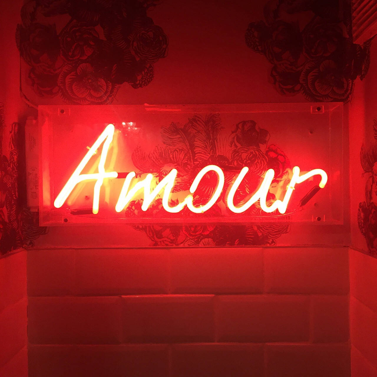Neoni Nyekundu ya Kupendeza 'Amour' Picha ya Ukuta