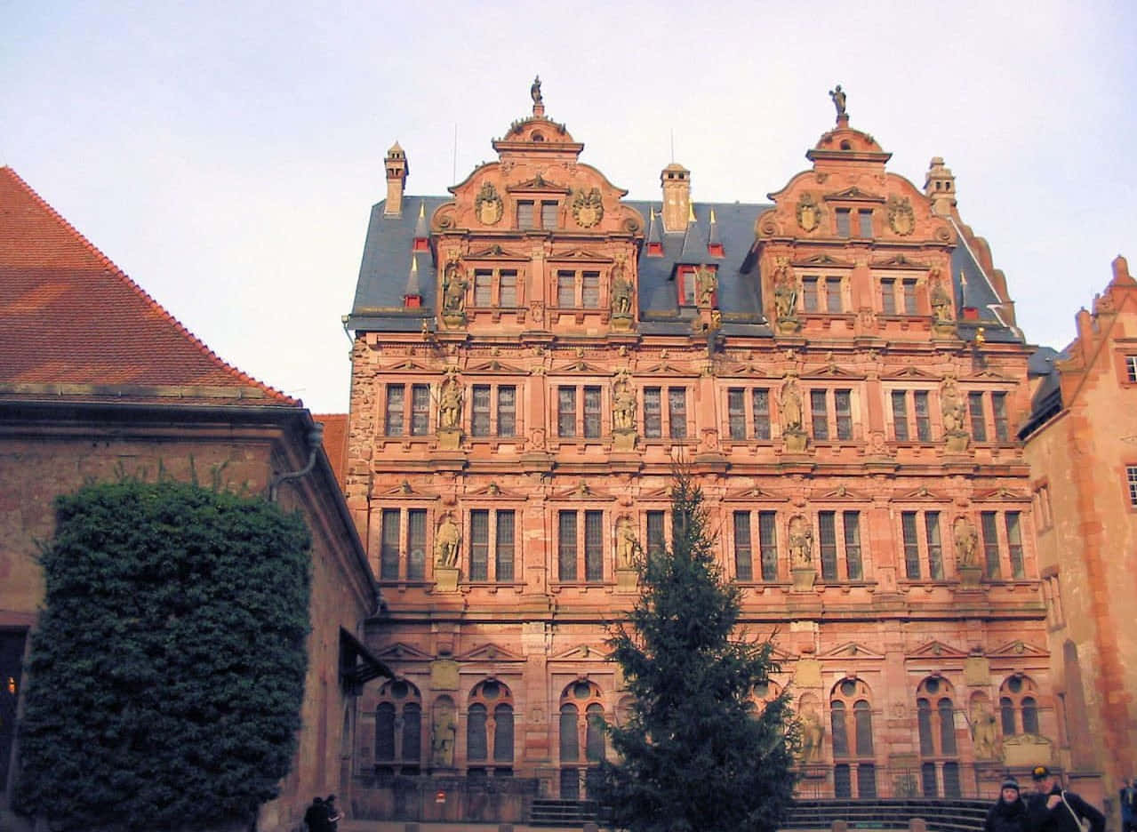 Ngome ya Heidelberg Kutoka Chini Picha ya Ukuta